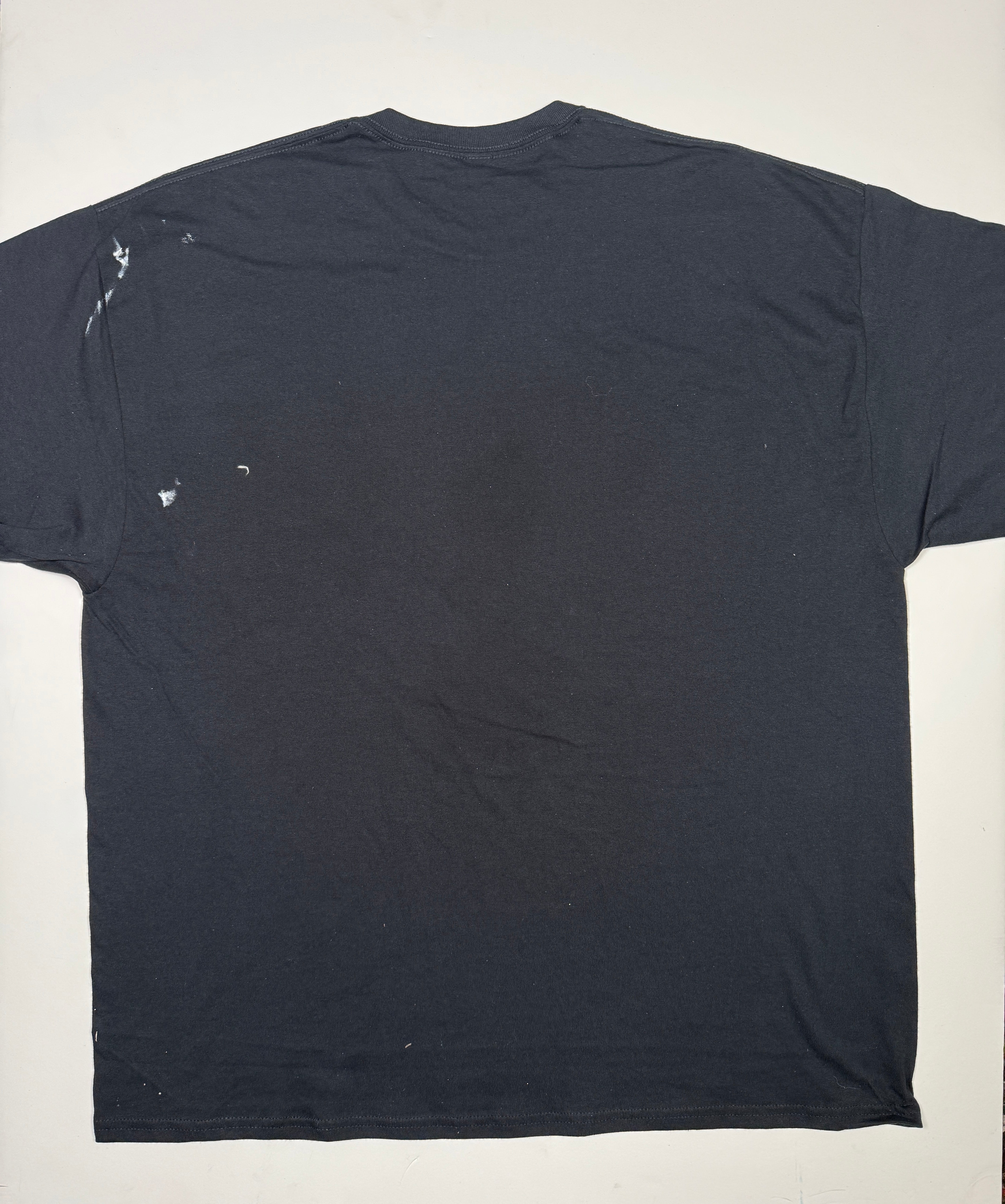 Dshirt: Erectus lV