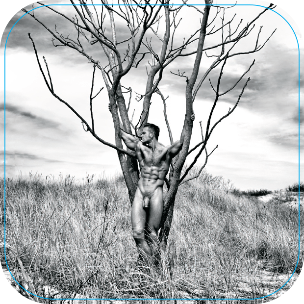 Tree Brent