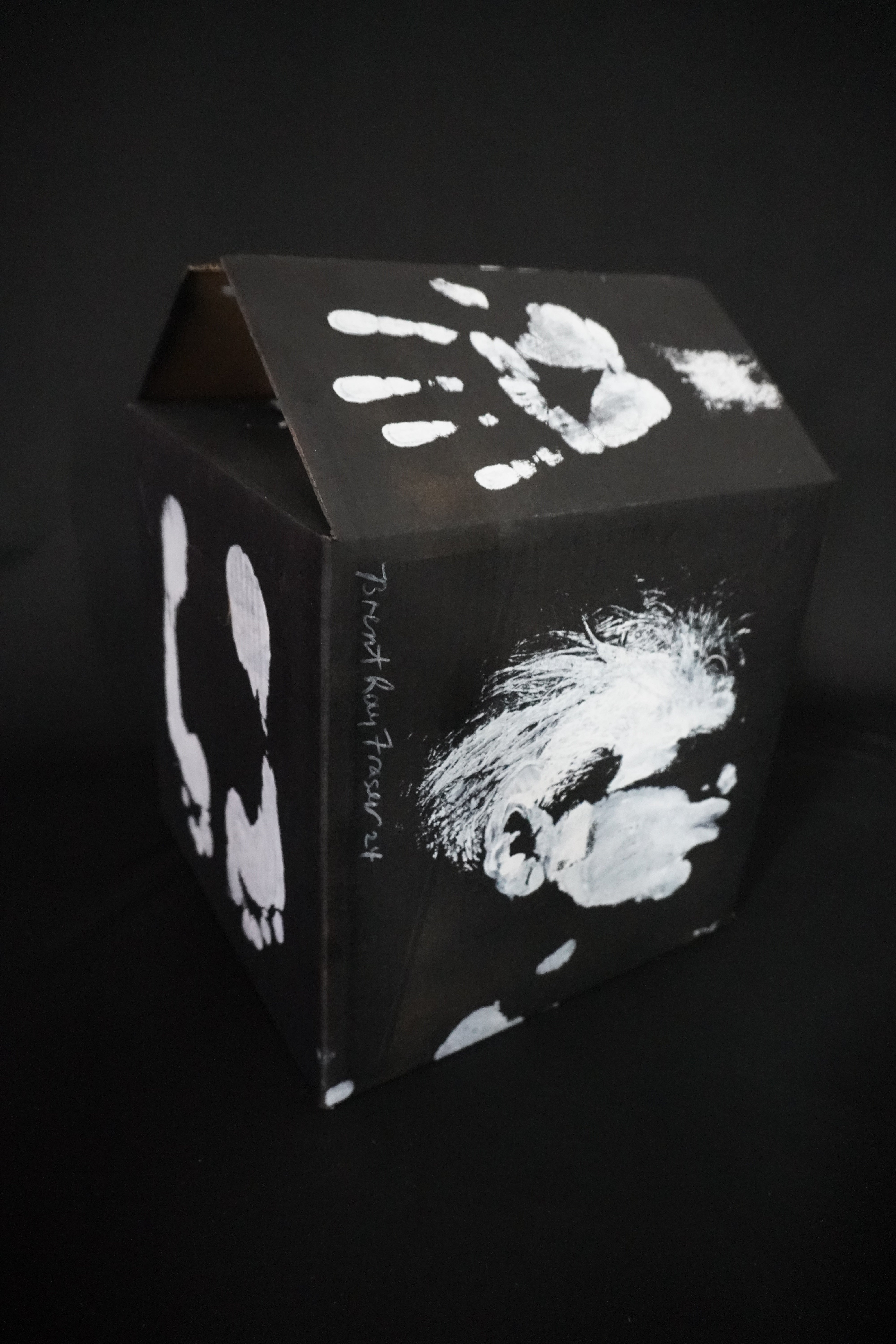 Box Imprint Artifact VlI (Object to Image Series) (2024)