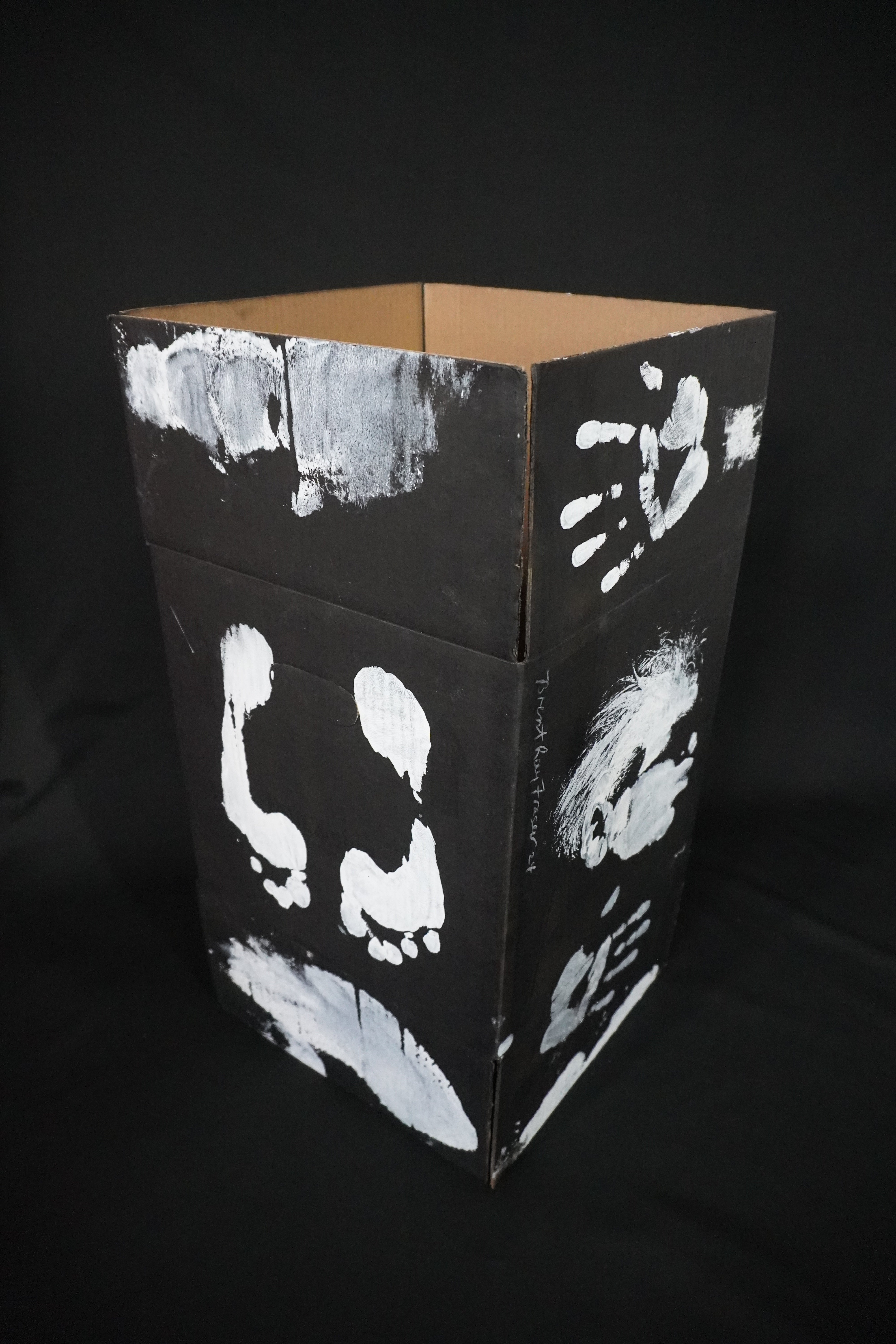 Box Imprint Artifact VlI (Object to Image Series) (2024)