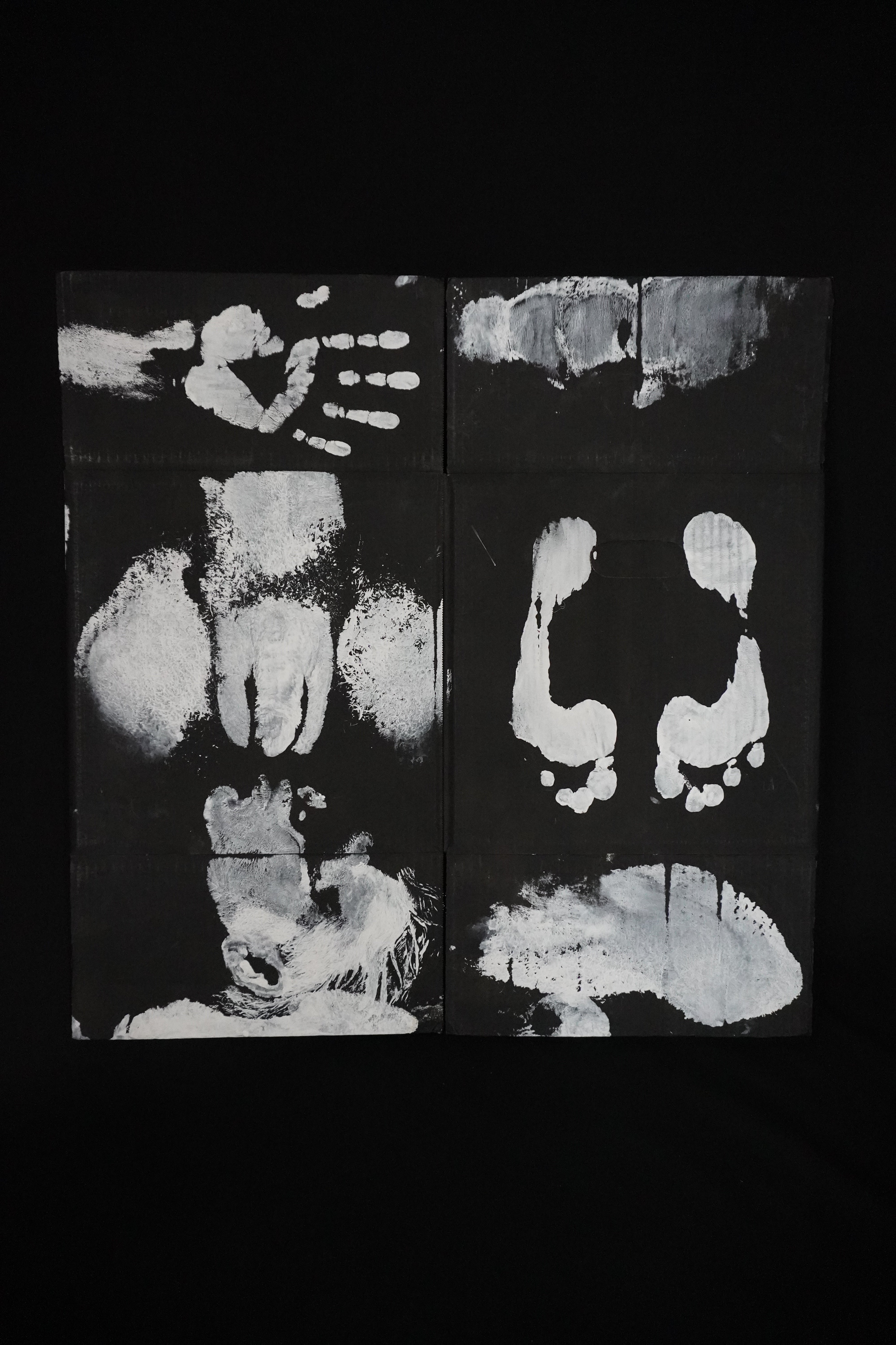 Box Imprint Artifact VlI (Object to Image Series) (2024)