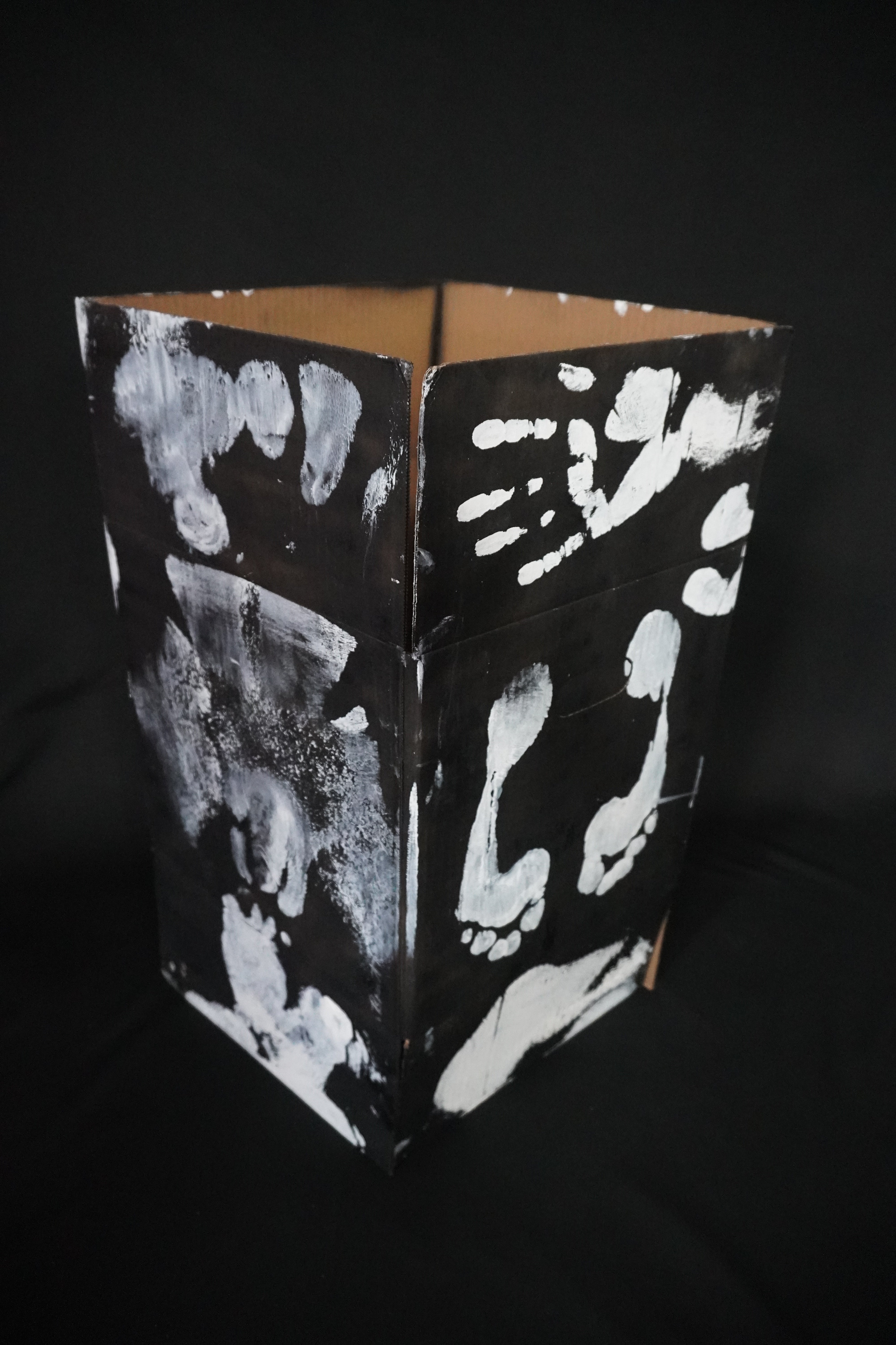 Box Imprint Artifact VI (Object to Image Series) (2024)