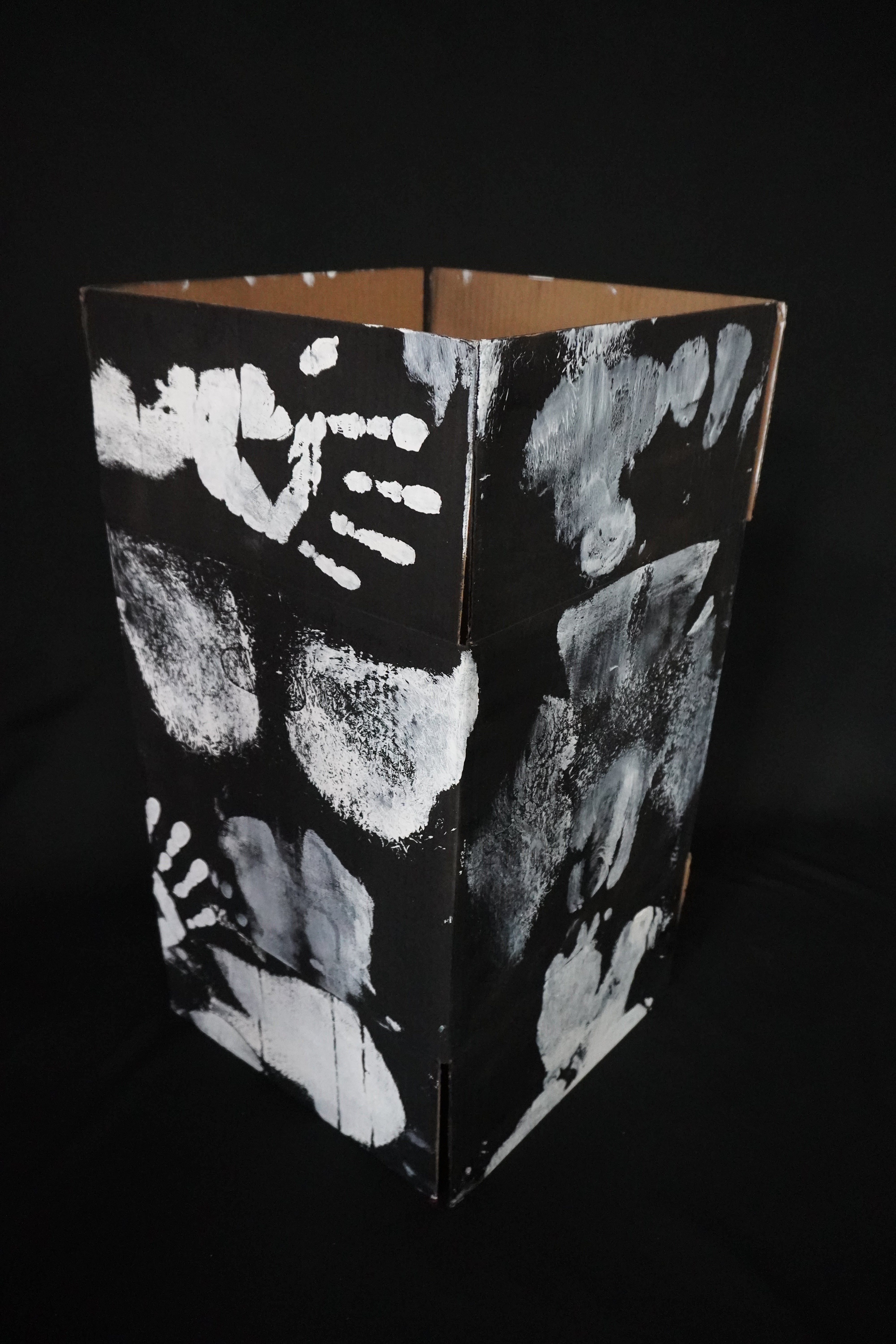 Box Imprint Artifact VI (Object to Image Series) (2024)