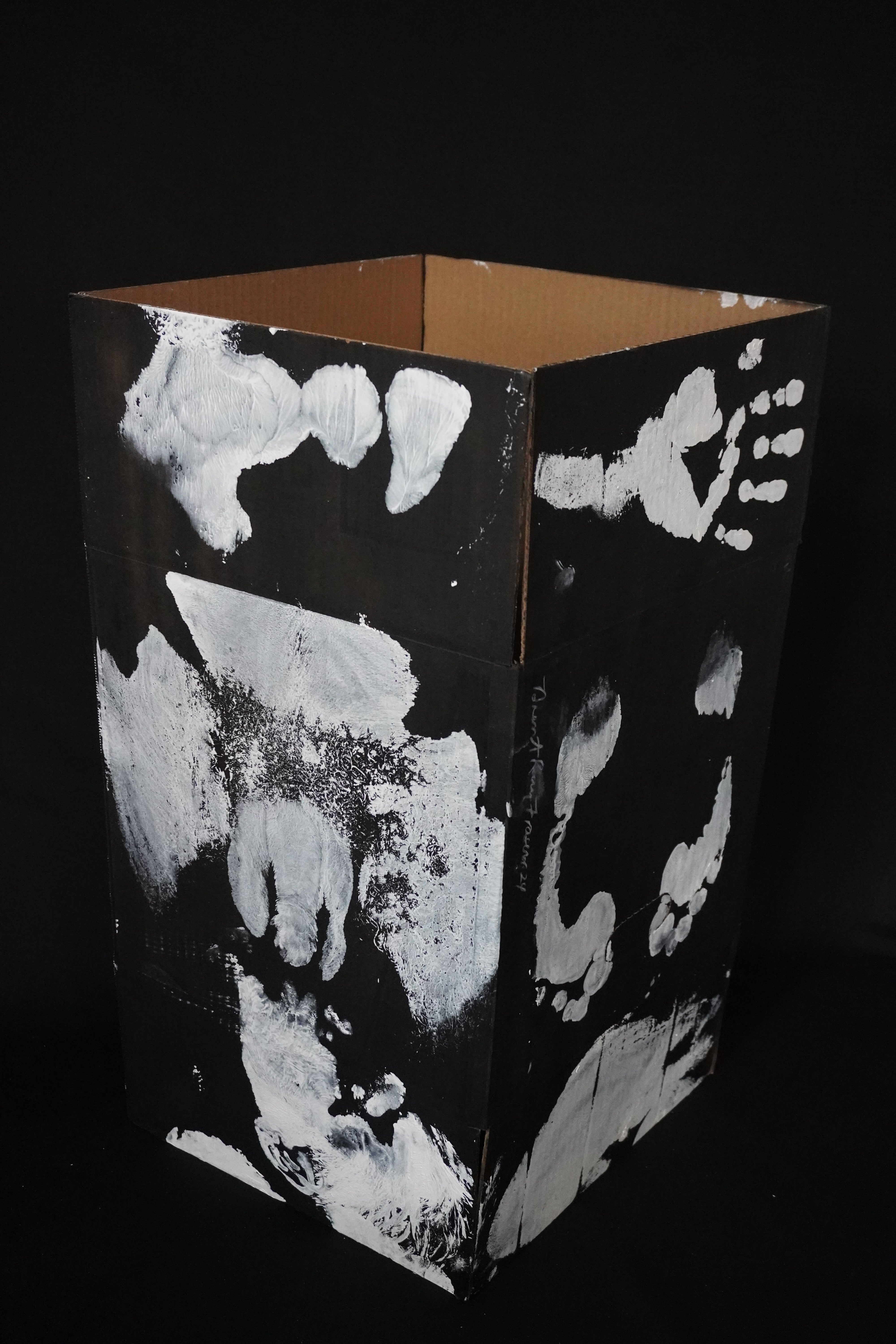 Box Imprint Artifact V (Object to Image Series) (2024)