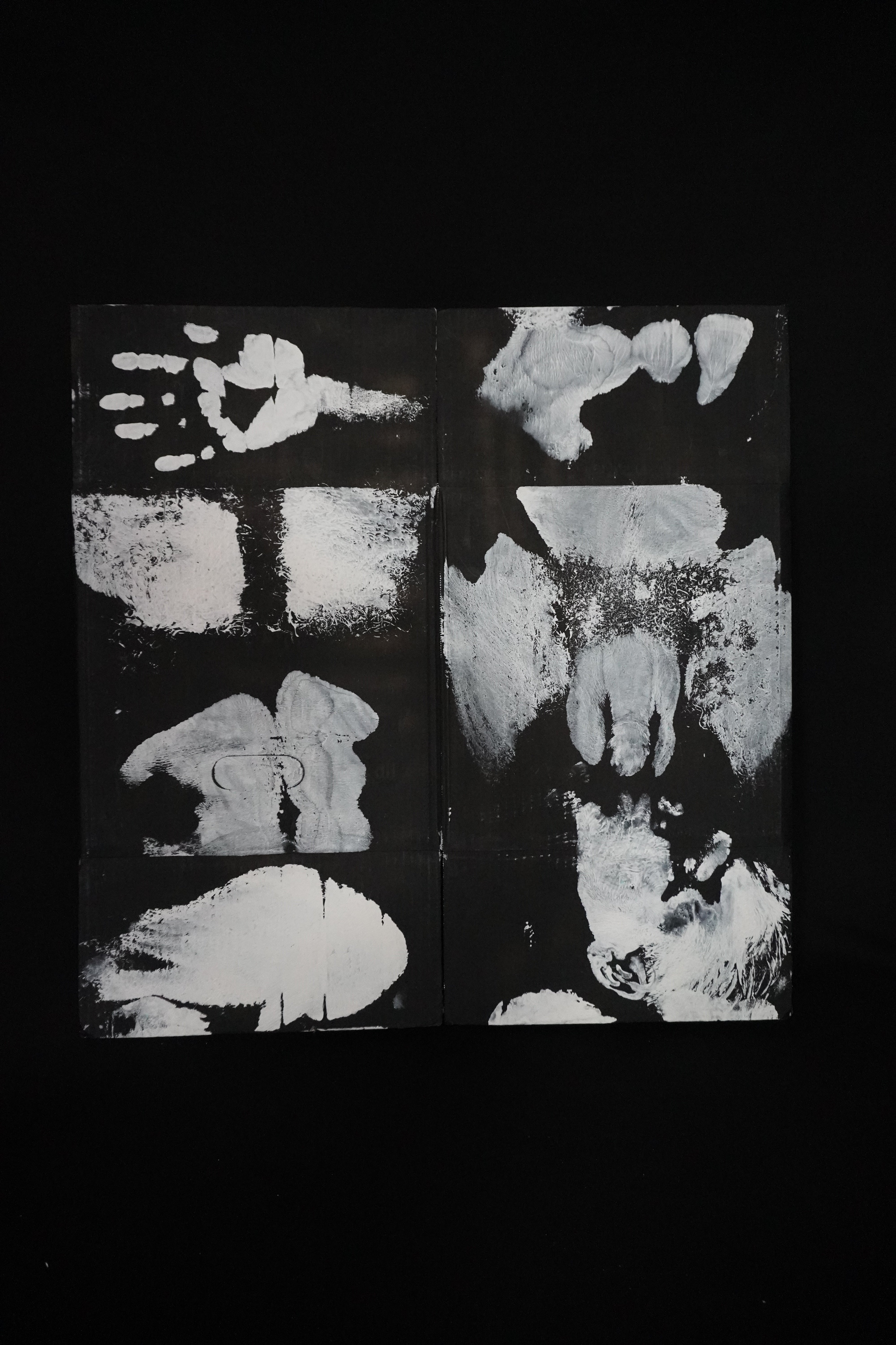 Box Imprint Artifact V (Object to Image Series) (2024)