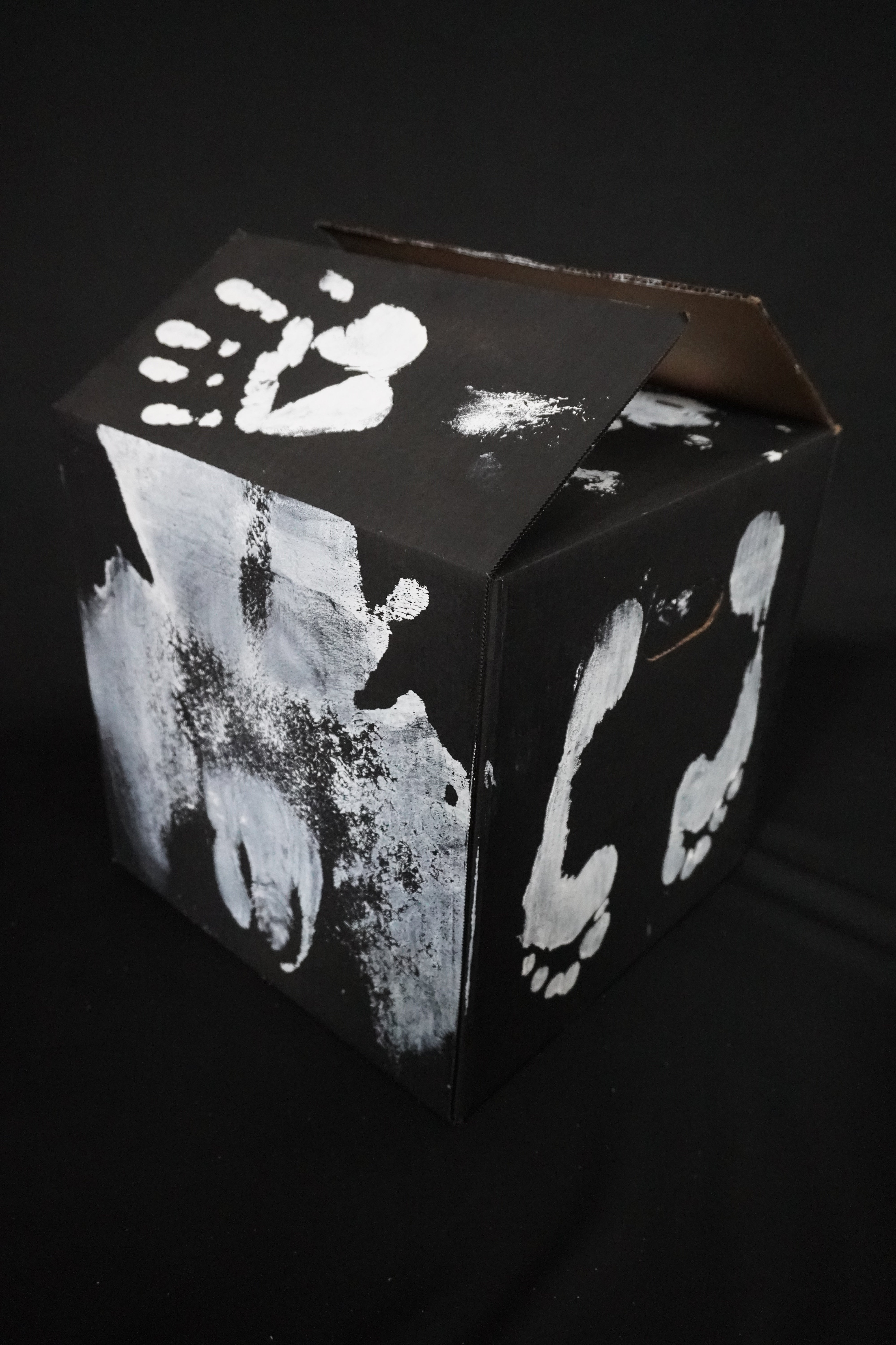 Box Imprint Artifact IV (Object to Image Series) (2024)