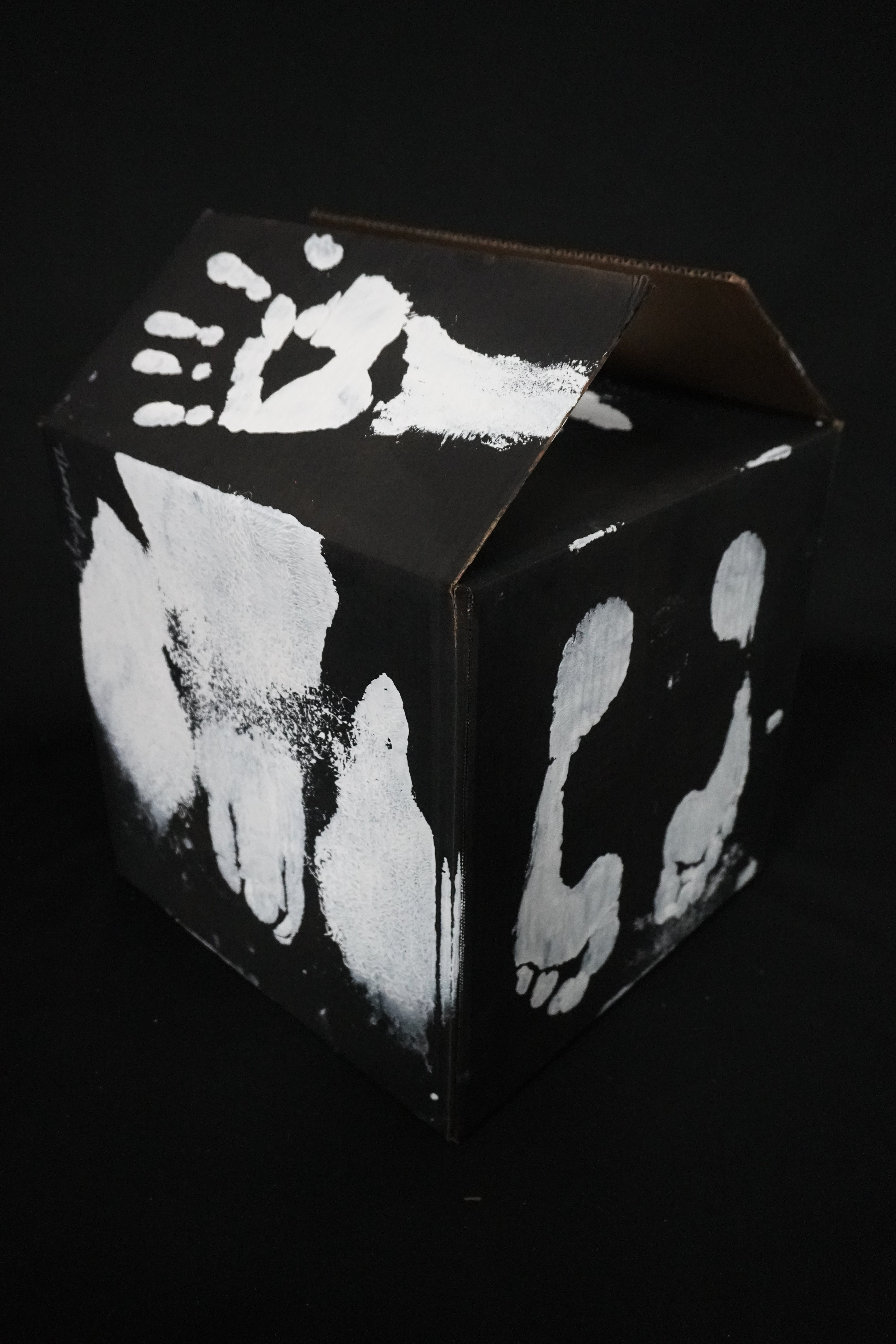 Box Imprint Artifact llI (Object to Image Series) (2024)