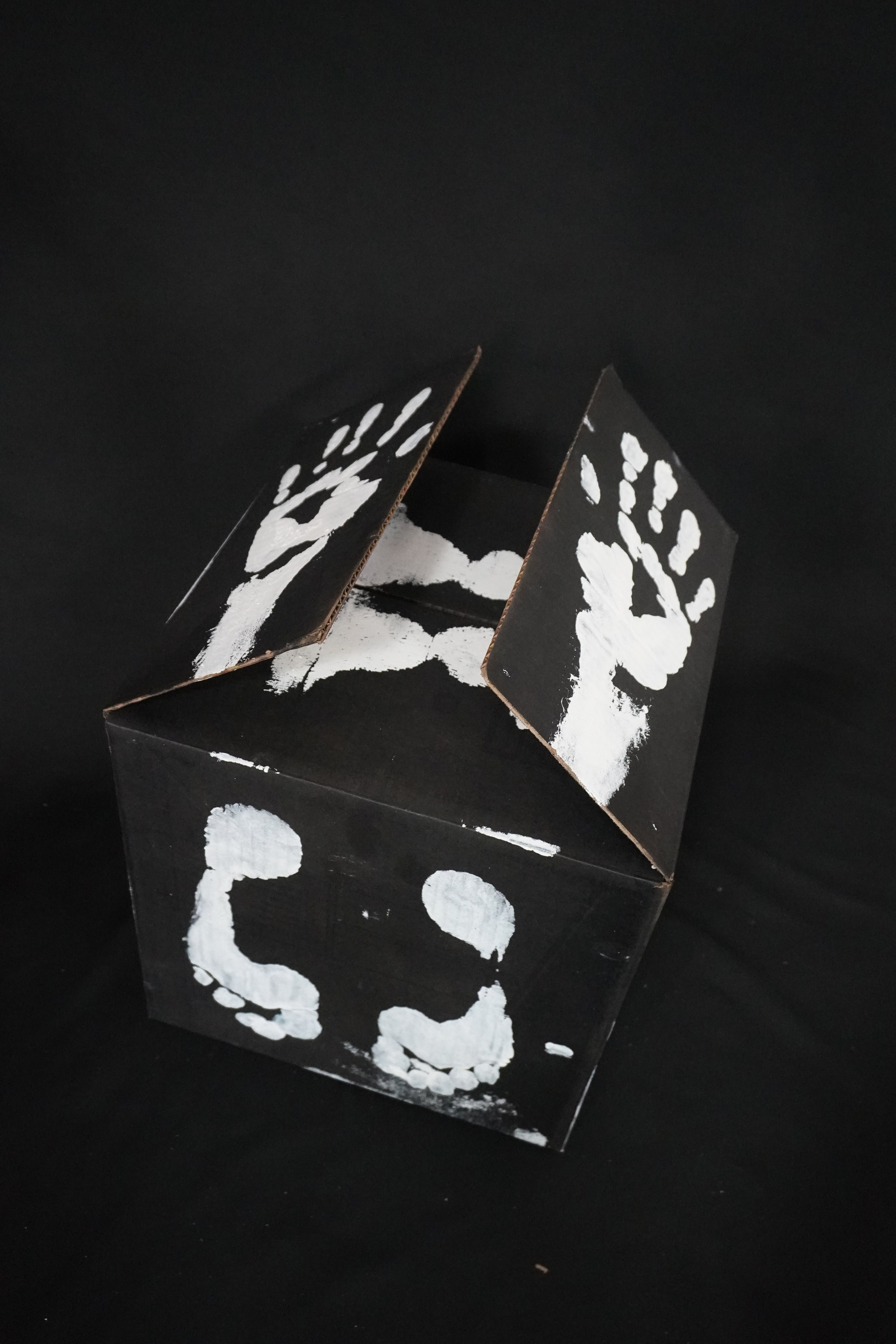 Box Imprint Artifact llI (Object to Image Series) (2024)
