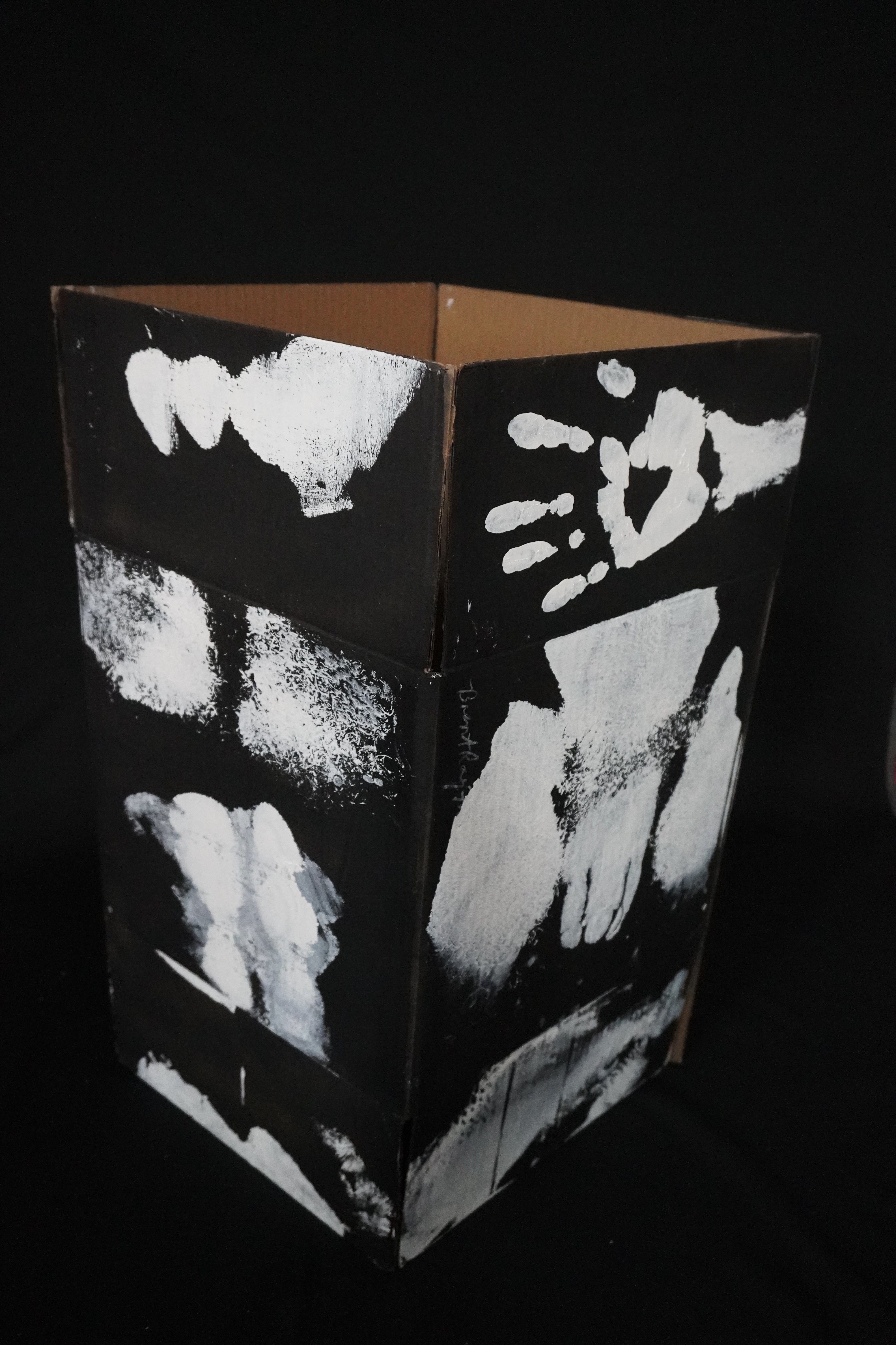 Box Imprint Artifact llI (Object to Image Series) (2024)