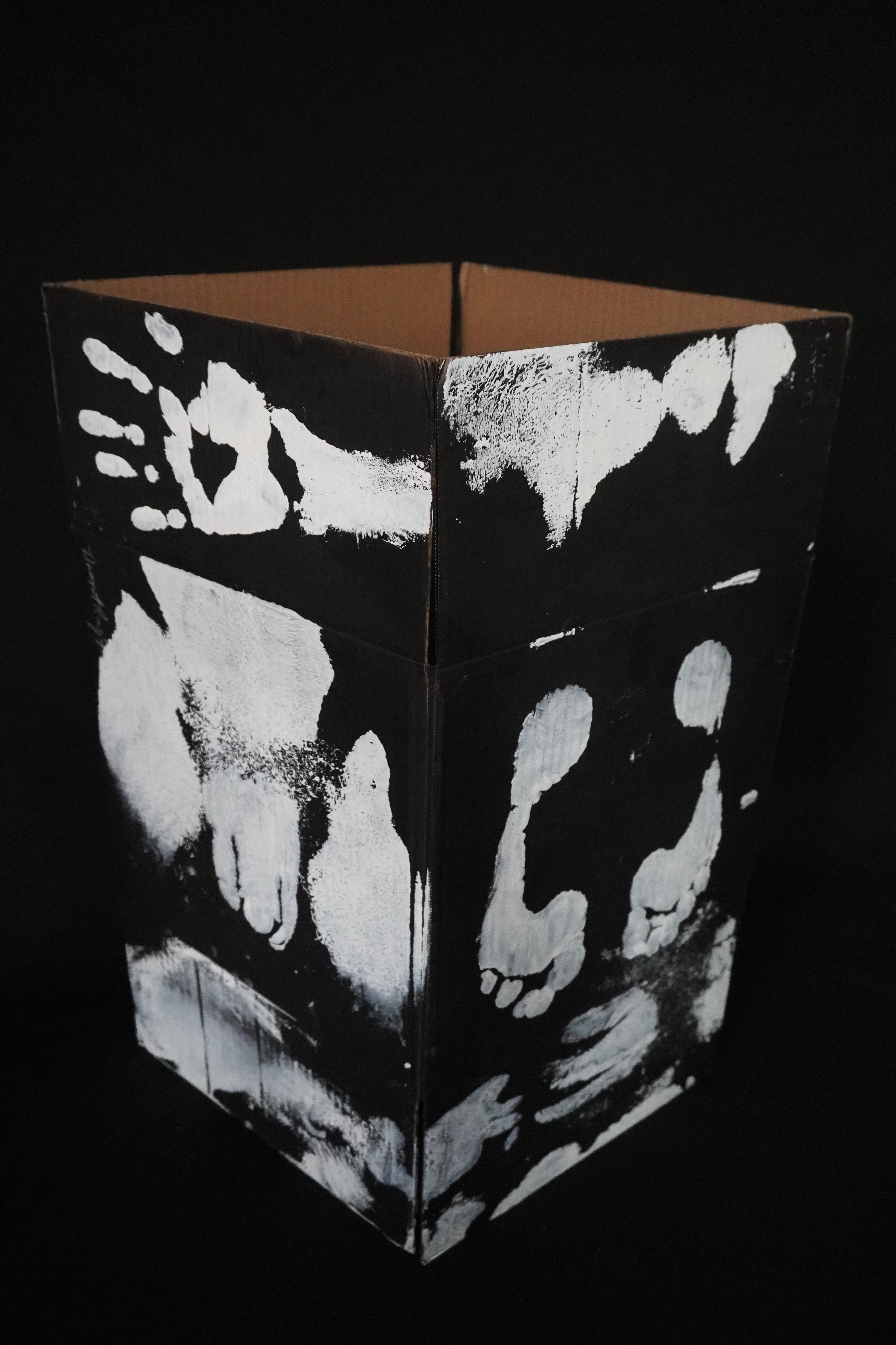 Box Imprint Artifact llI (Object to Image Series) (2024)