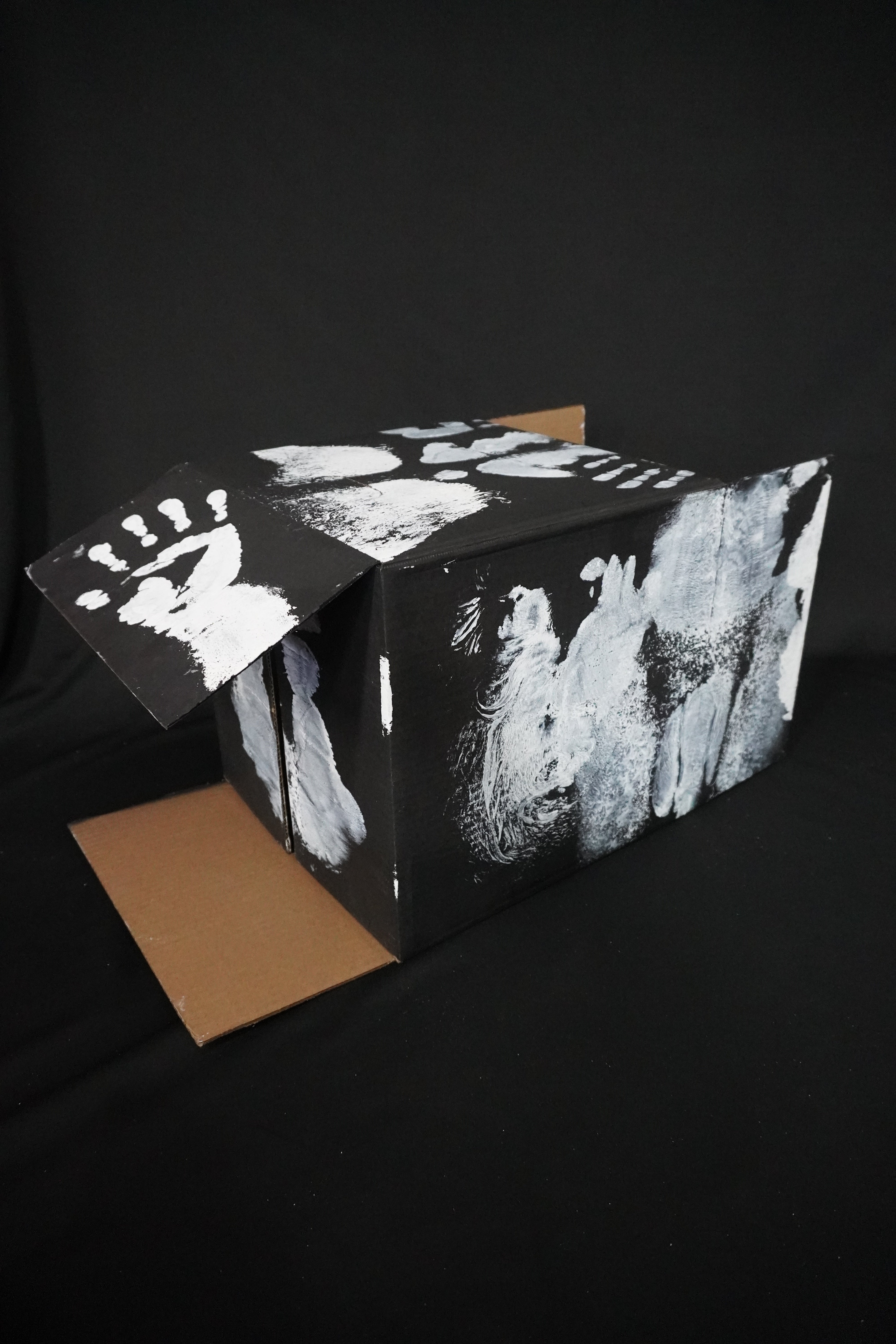 Box Imprint Artifact II (Object to Image Series) (2024)