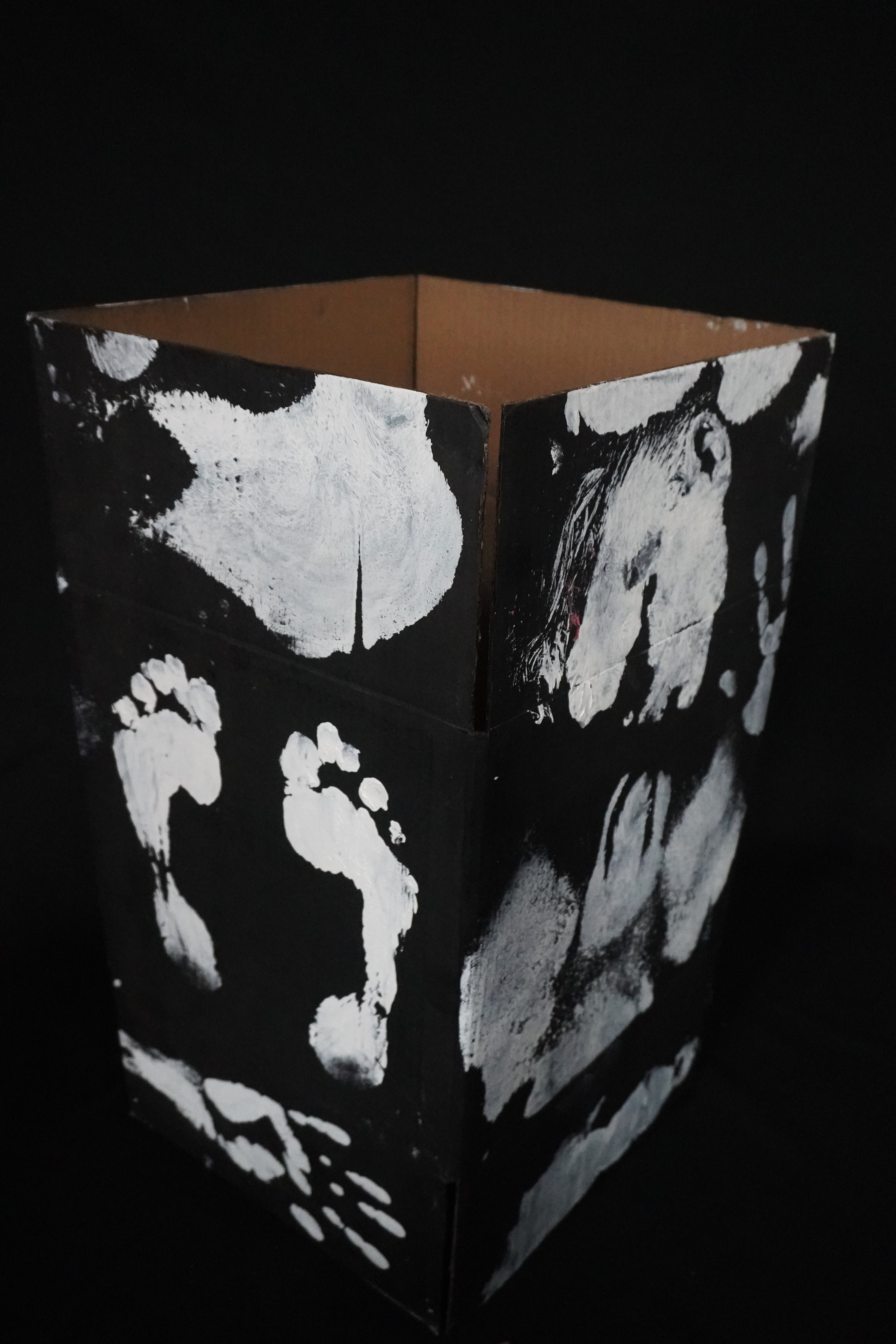 Box Imprint Artifact II (Object to Image Series) (2024)