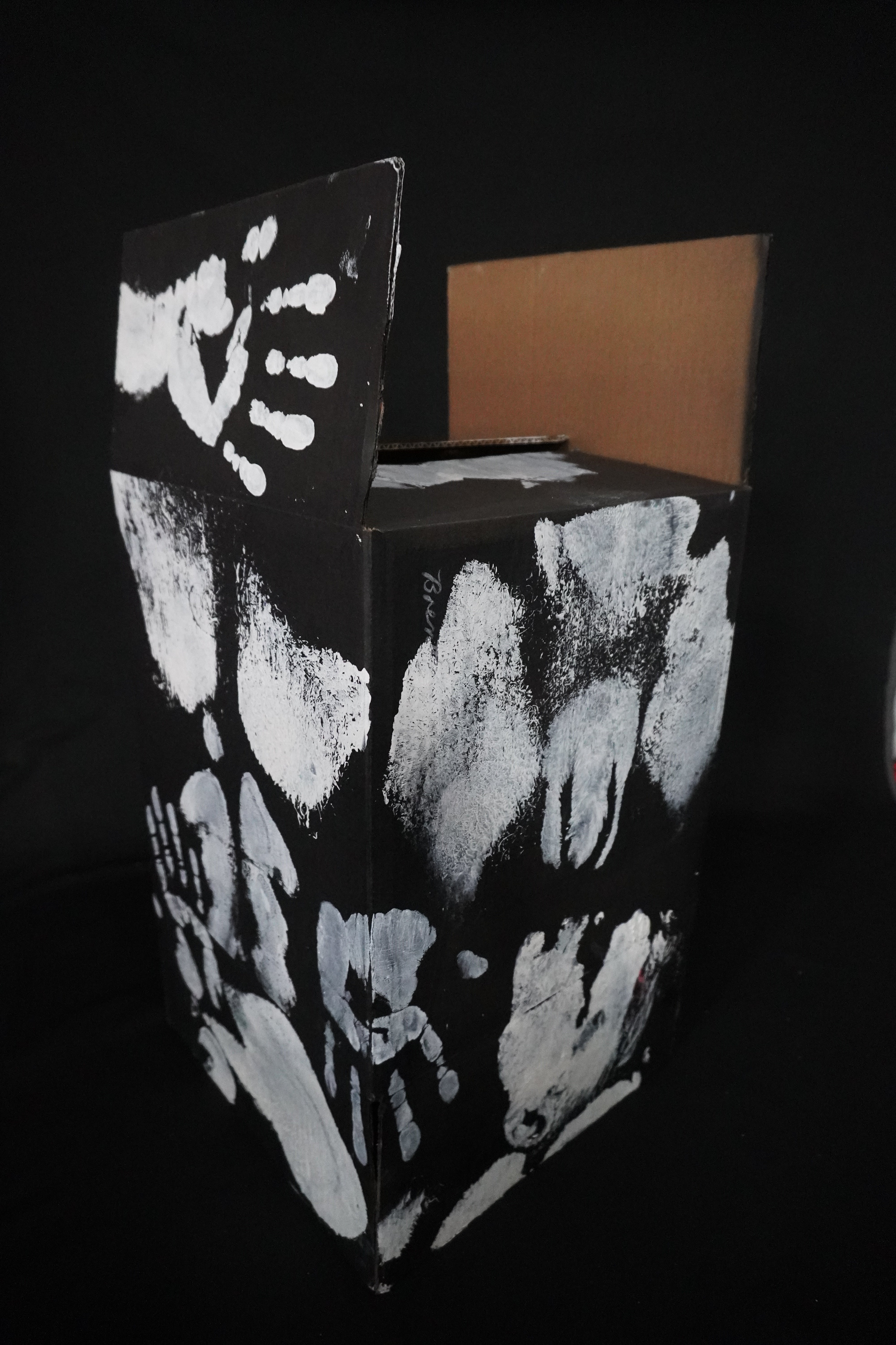 Box Imprint Artifact II (Object to Image Series) (2024)