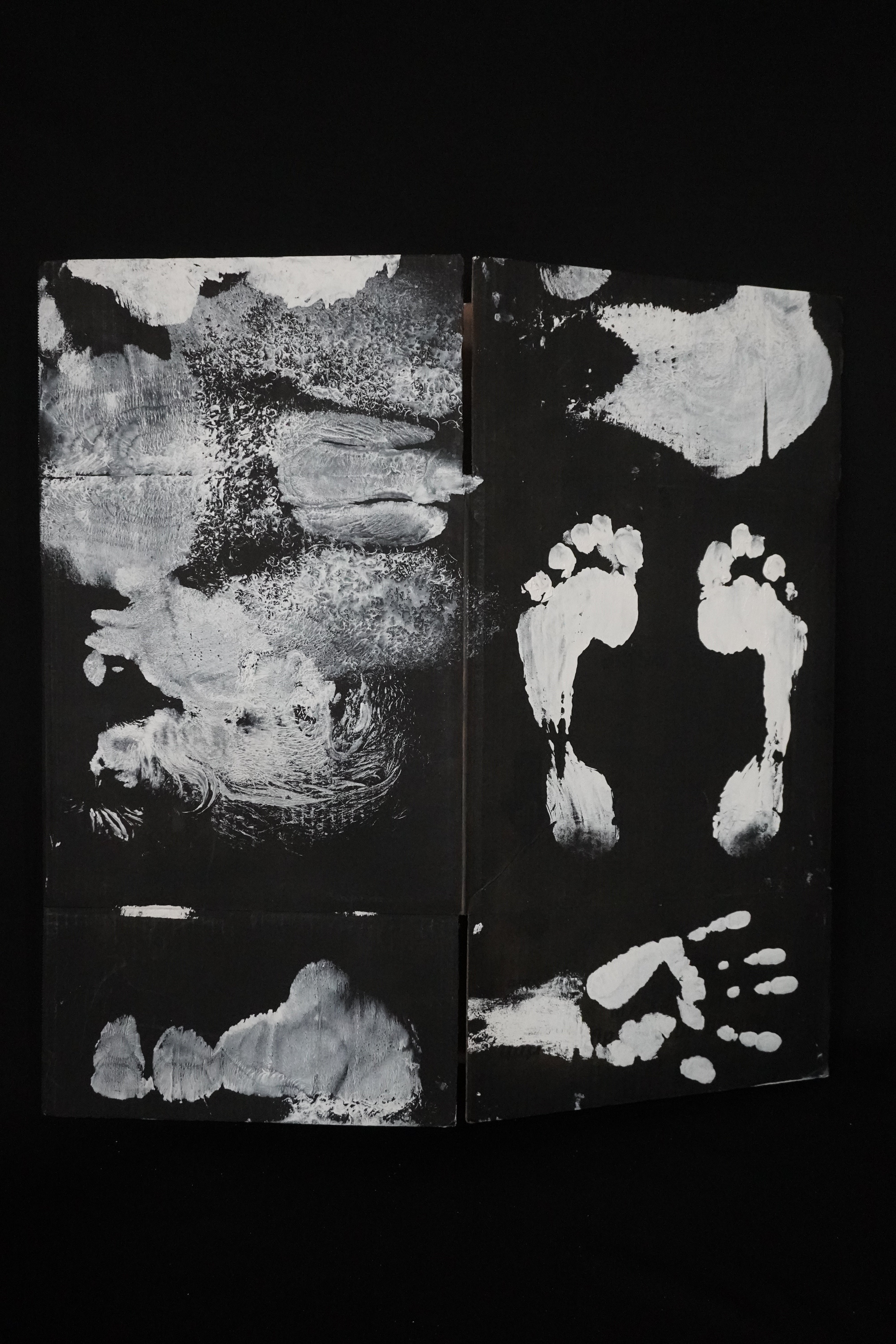 Box Imprint Artifact II (Object to Image Series) (2024)