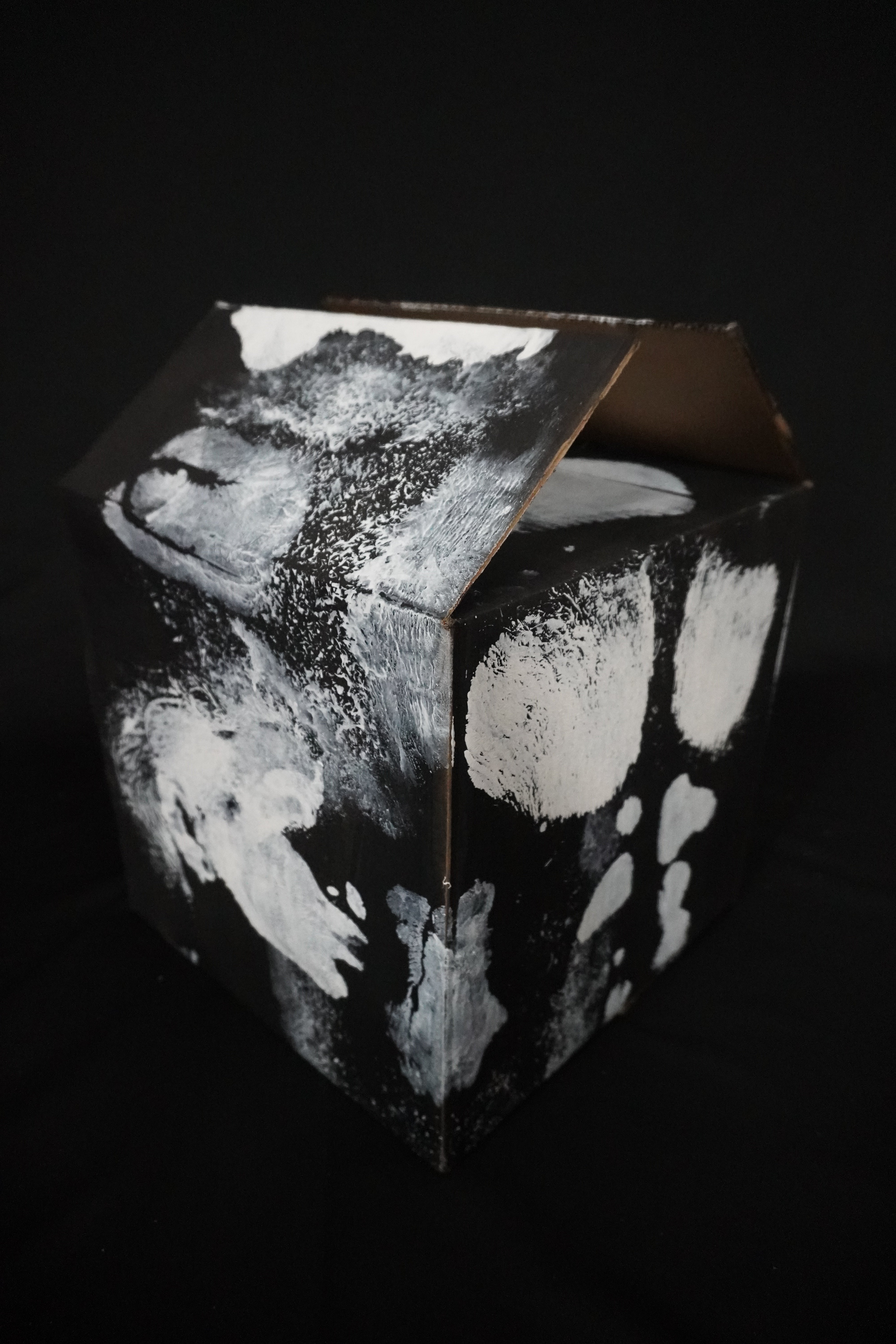 Box Imprint Artifact I (Object to Image Series) (2024)