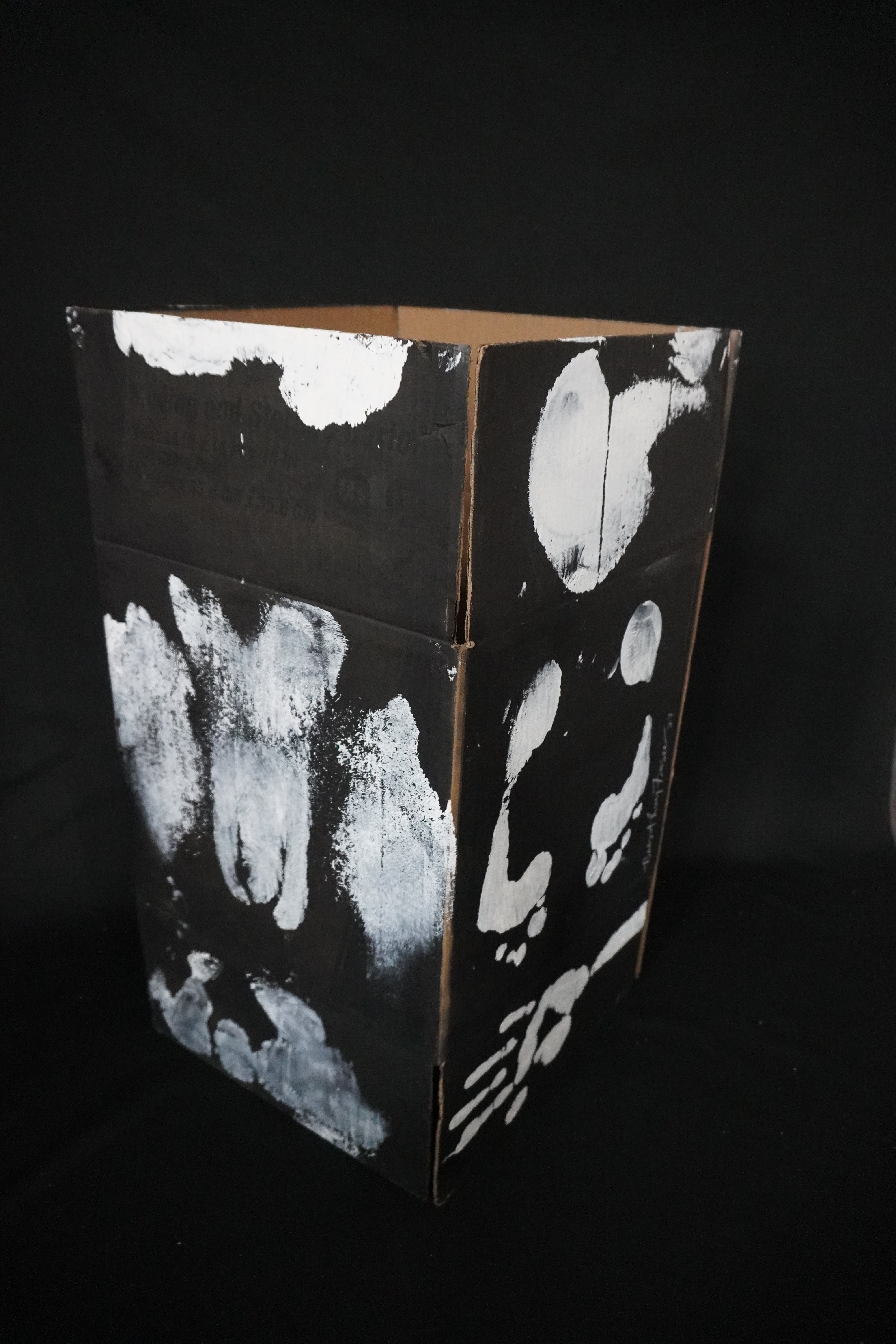 Box Imprint Artifact I (Object to Image Series) (2024)