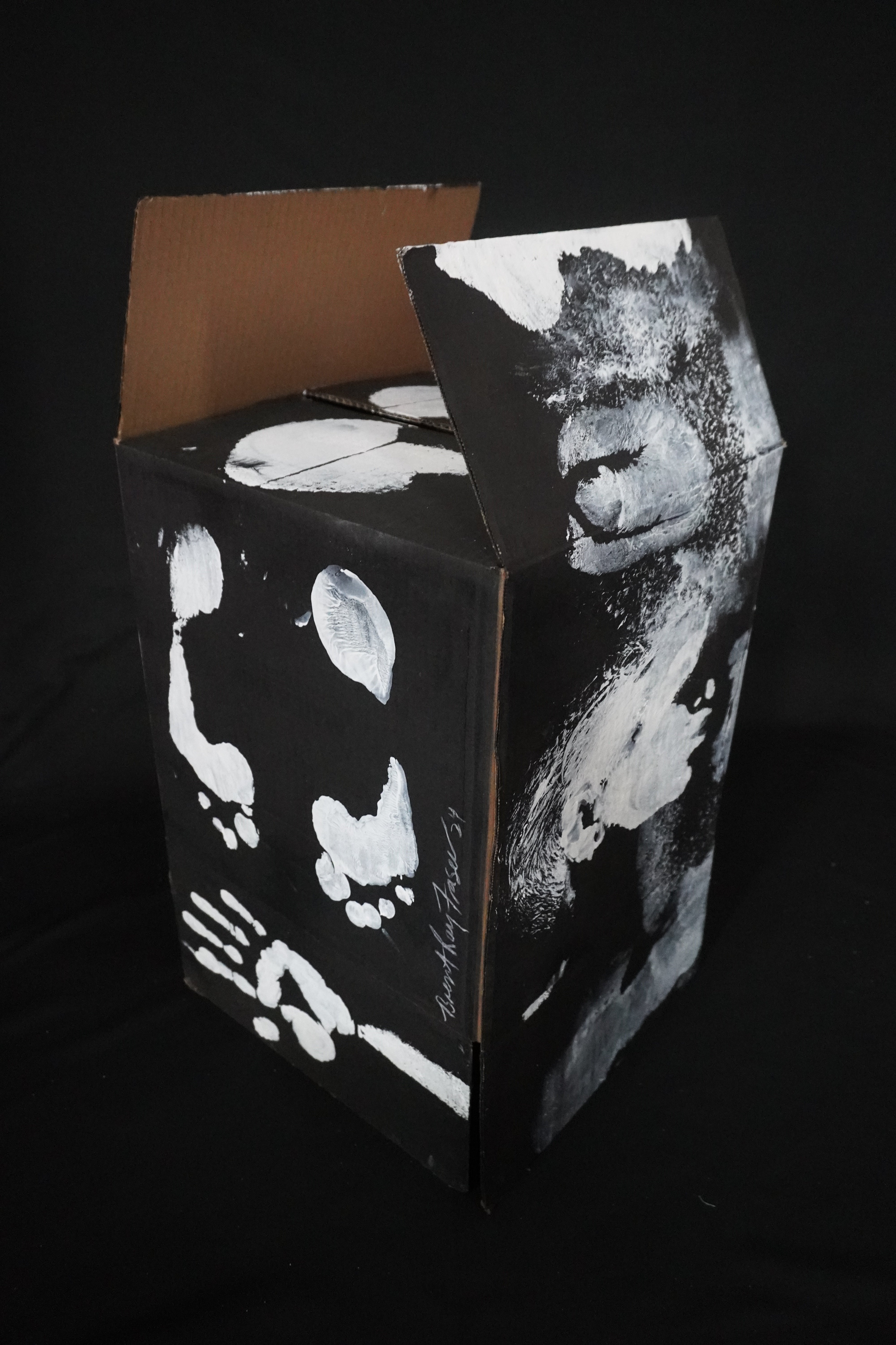Box Imprint Artifact I (Object to Image Series) (2024)