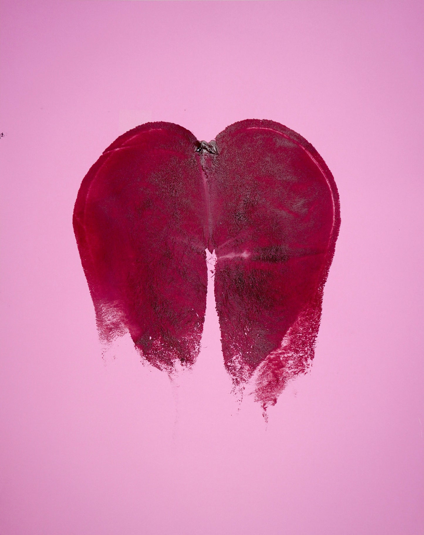 Bumpressions 09 - 2024