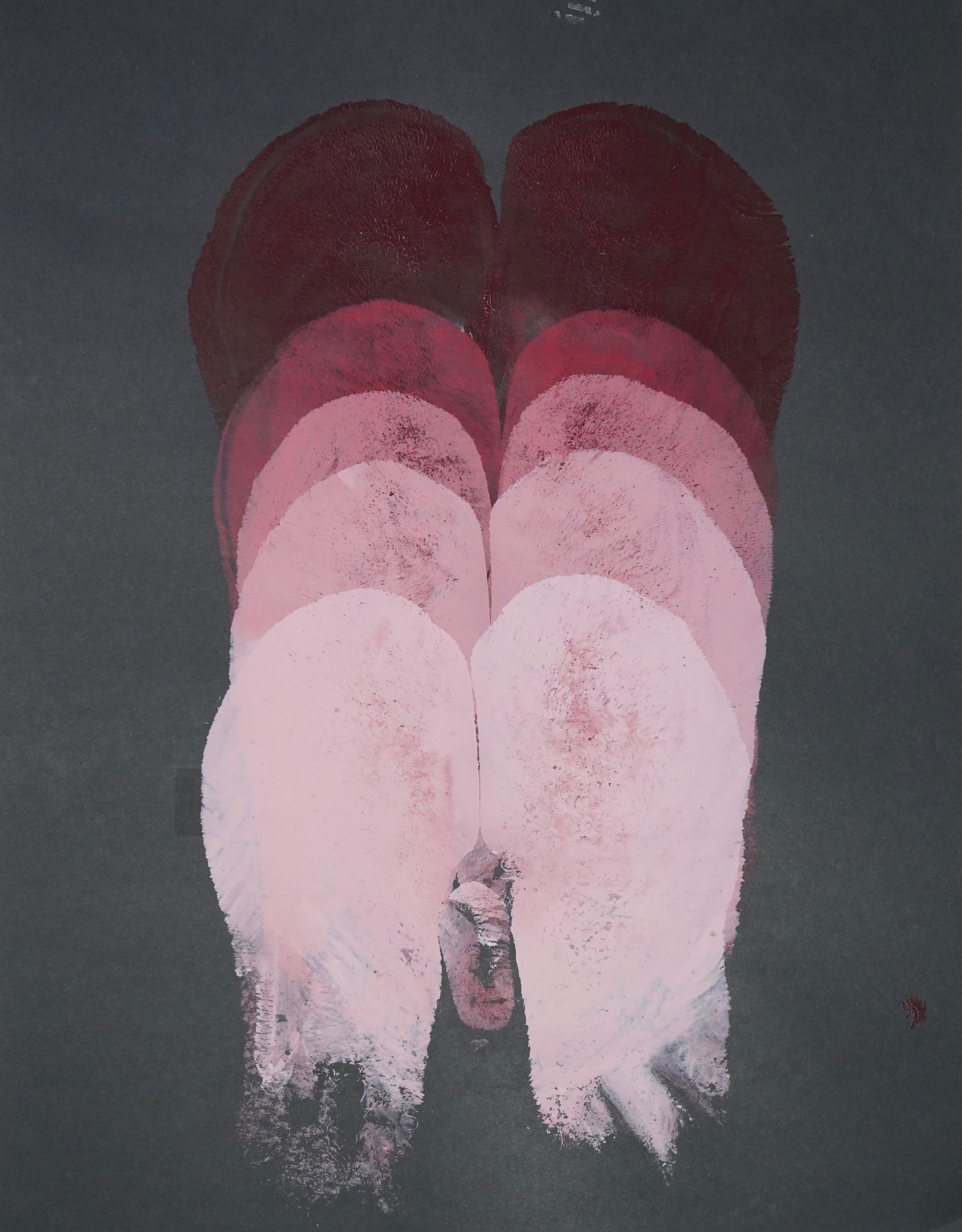 Gluteus Maximus Repetition Study XXIV (2024)