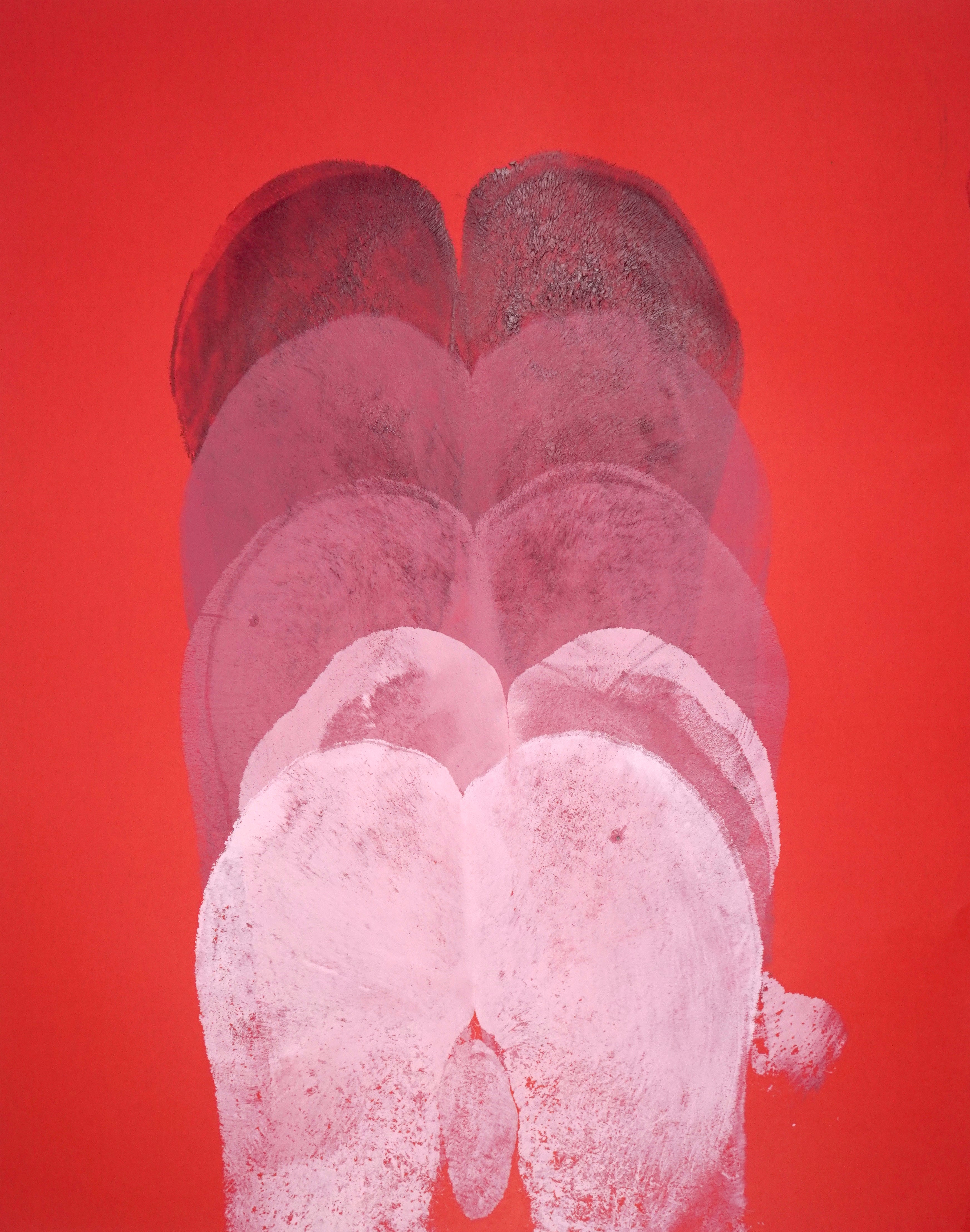 Gluteus Maximus Repetition Study XXVII (2024)