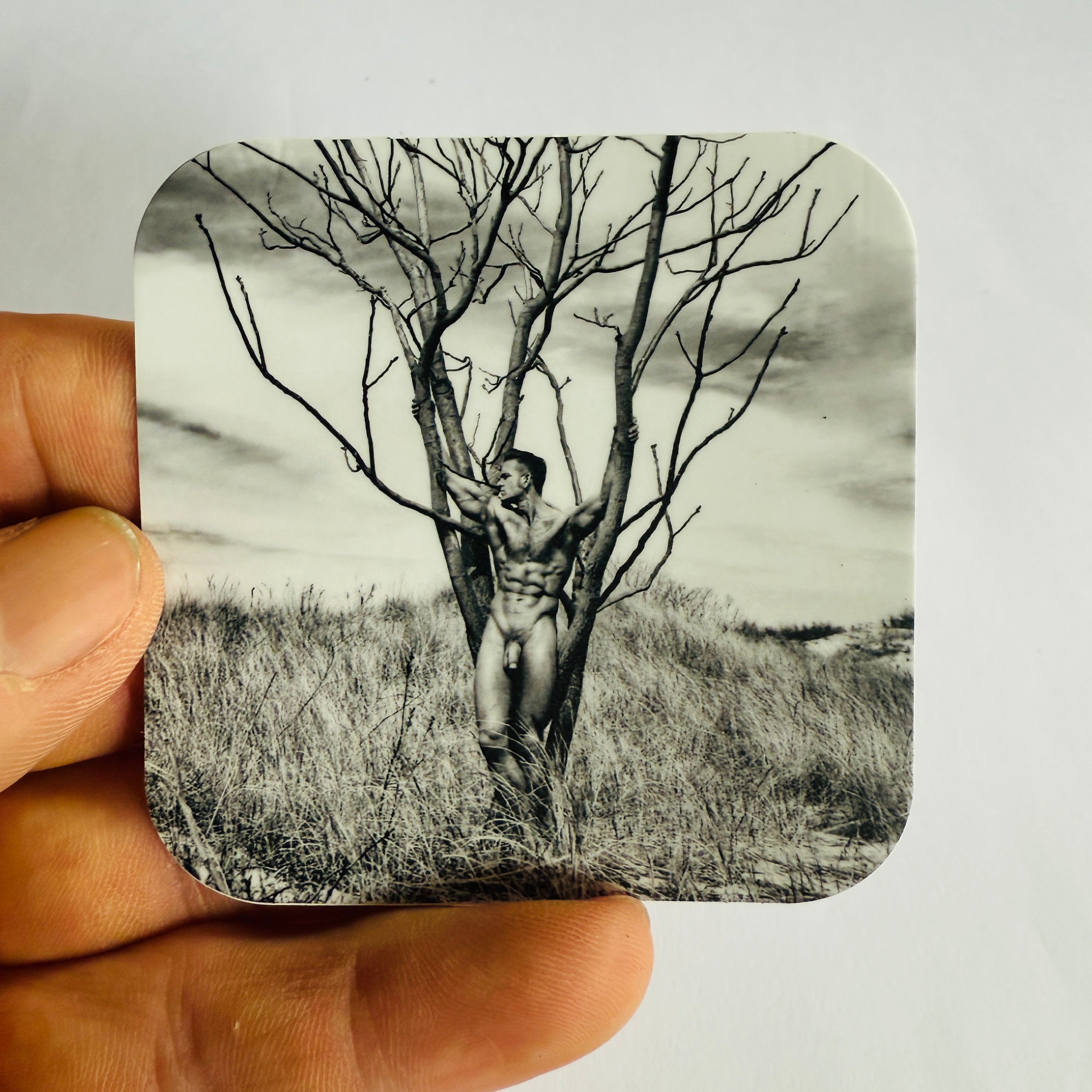 Tree Brent