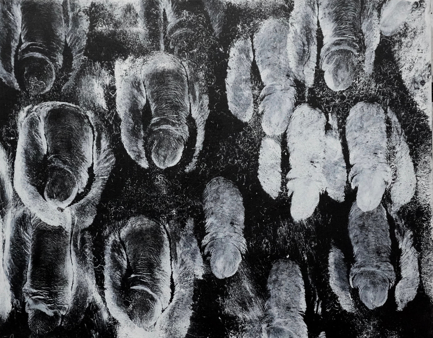 Natural Harmony, 2023