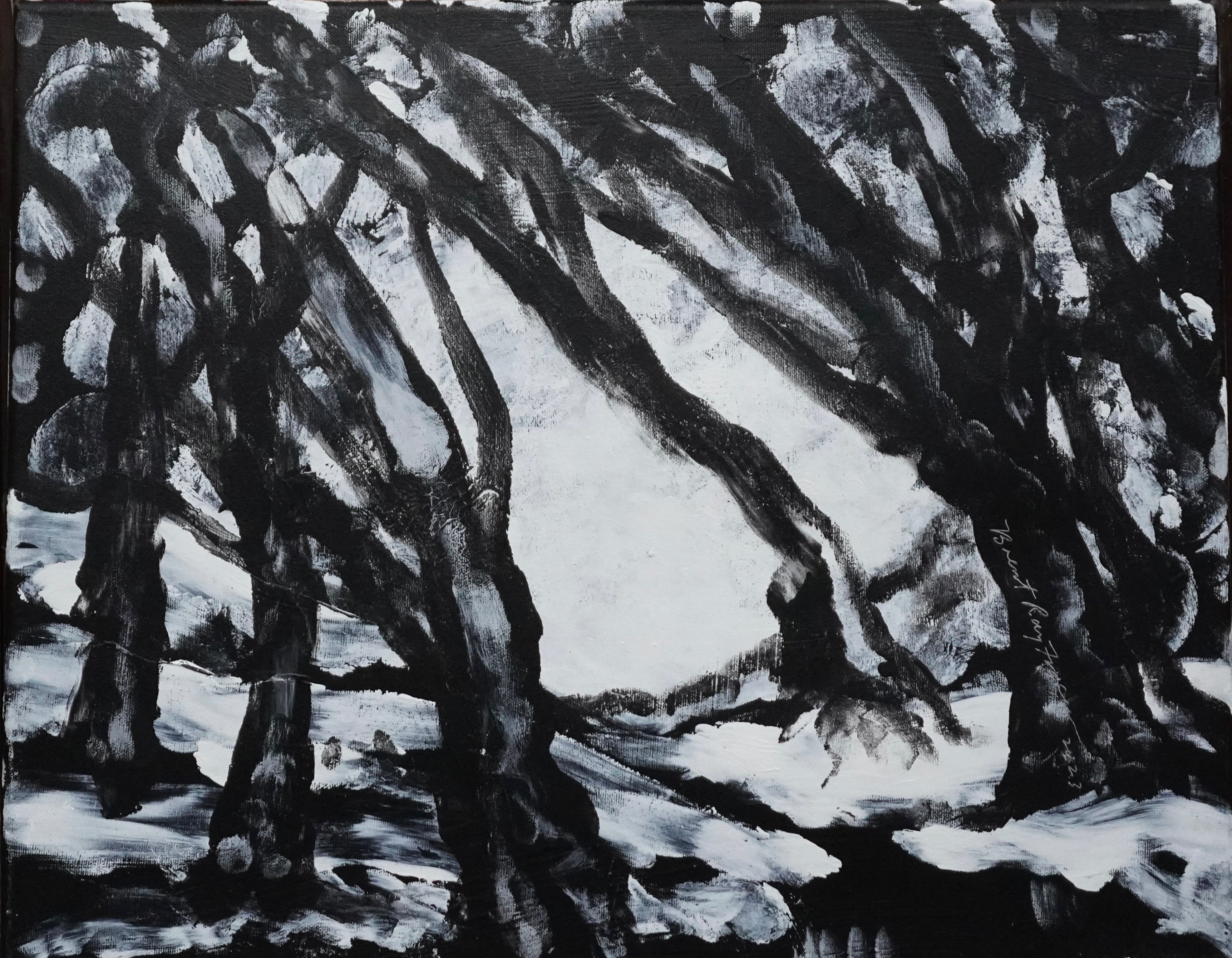 Monochrome Winter V (2023)