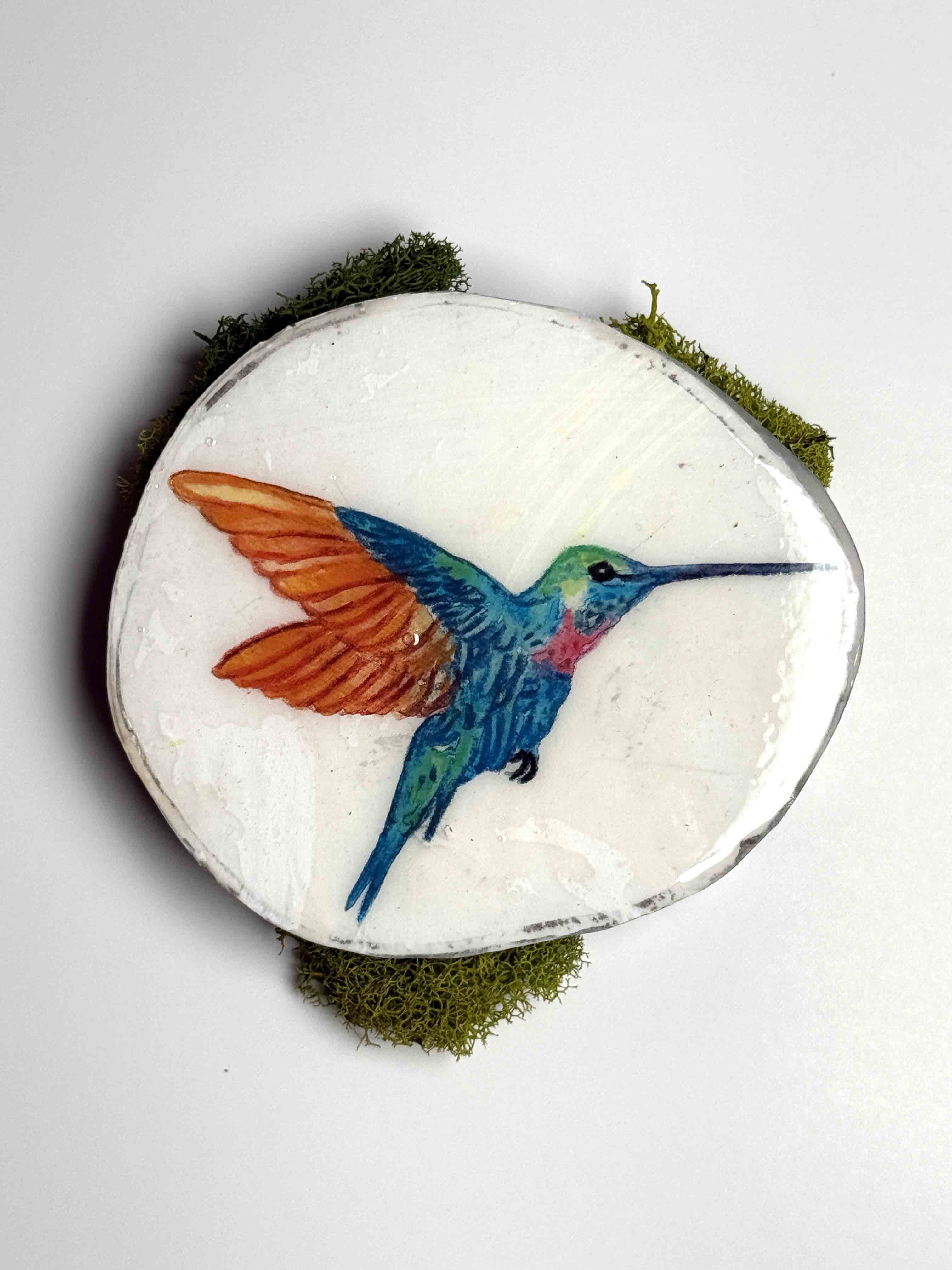 Silent Hover (Hummingbird Study VI)