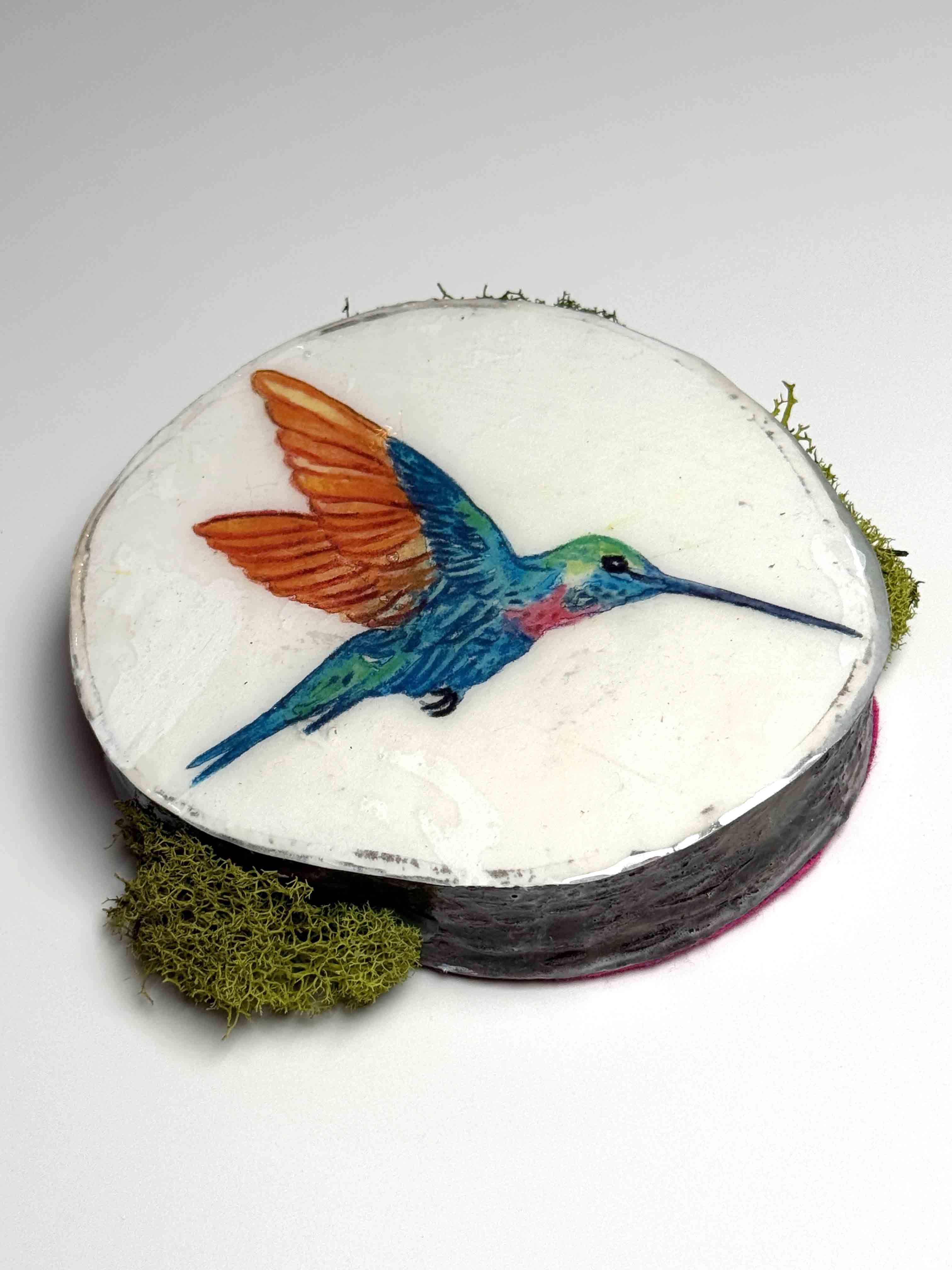 Silent Hover (Hummingbird Study VI)