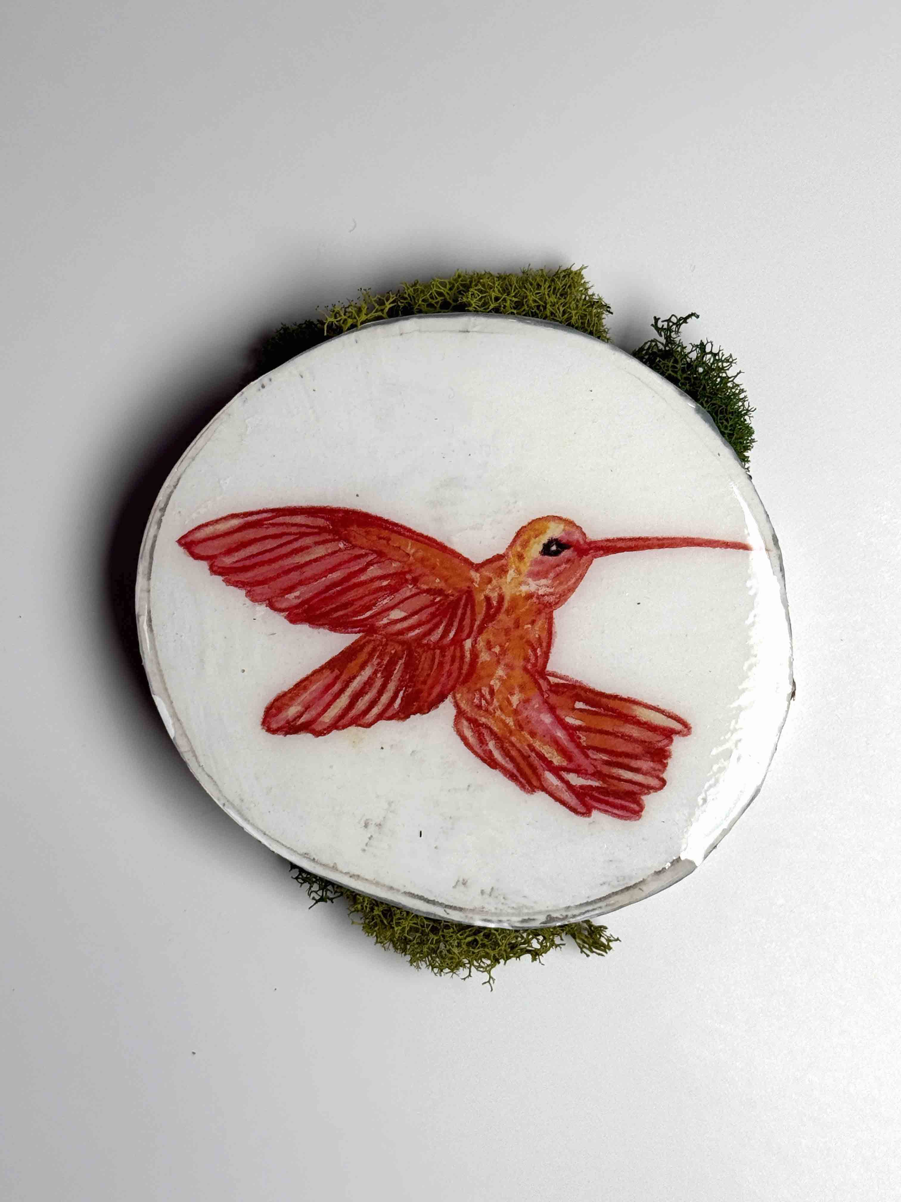 Scarlet Wing (Hummingbird Study IV)