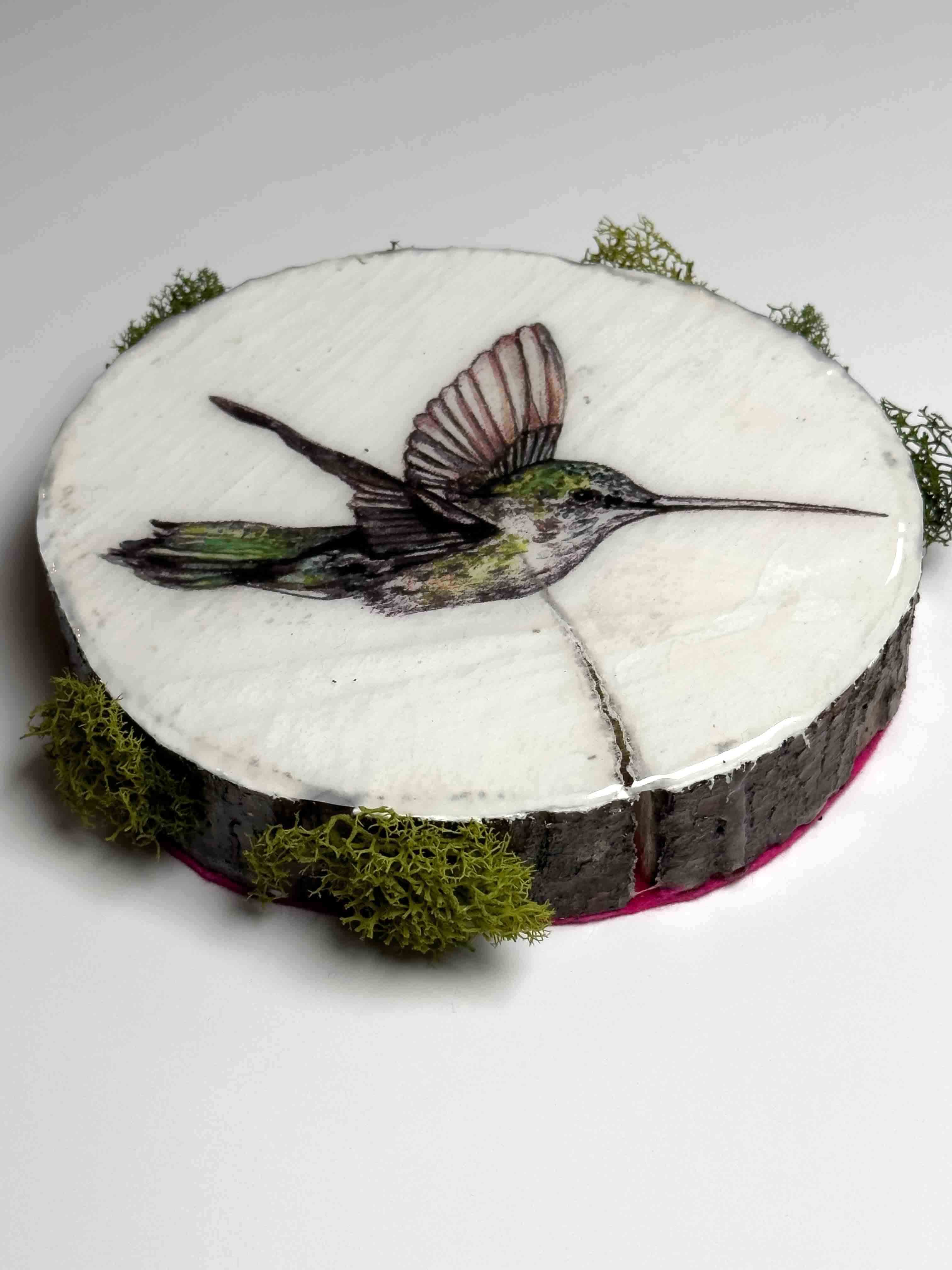 Honey Bomber (Hummingbird Study I)