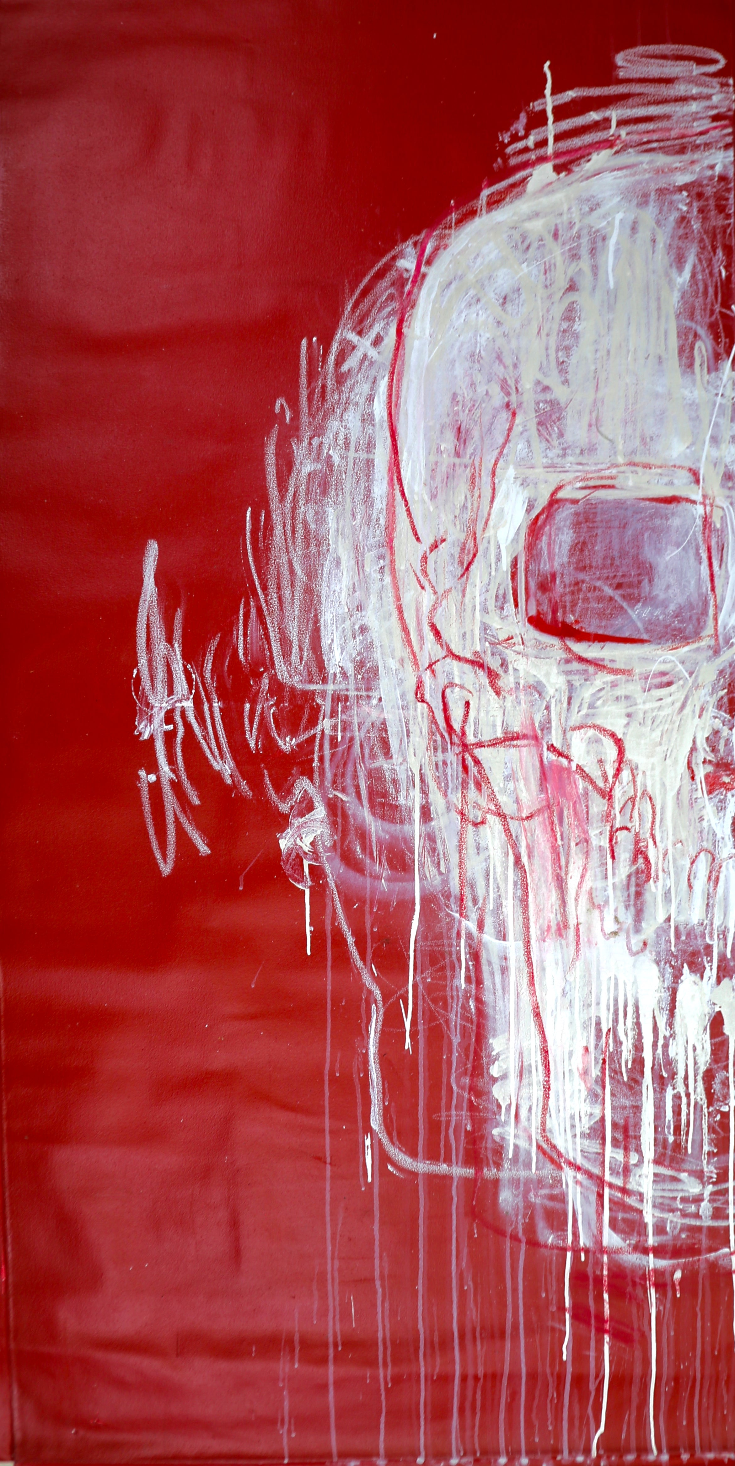 Skull Study XlV (2012) (Diptych)
