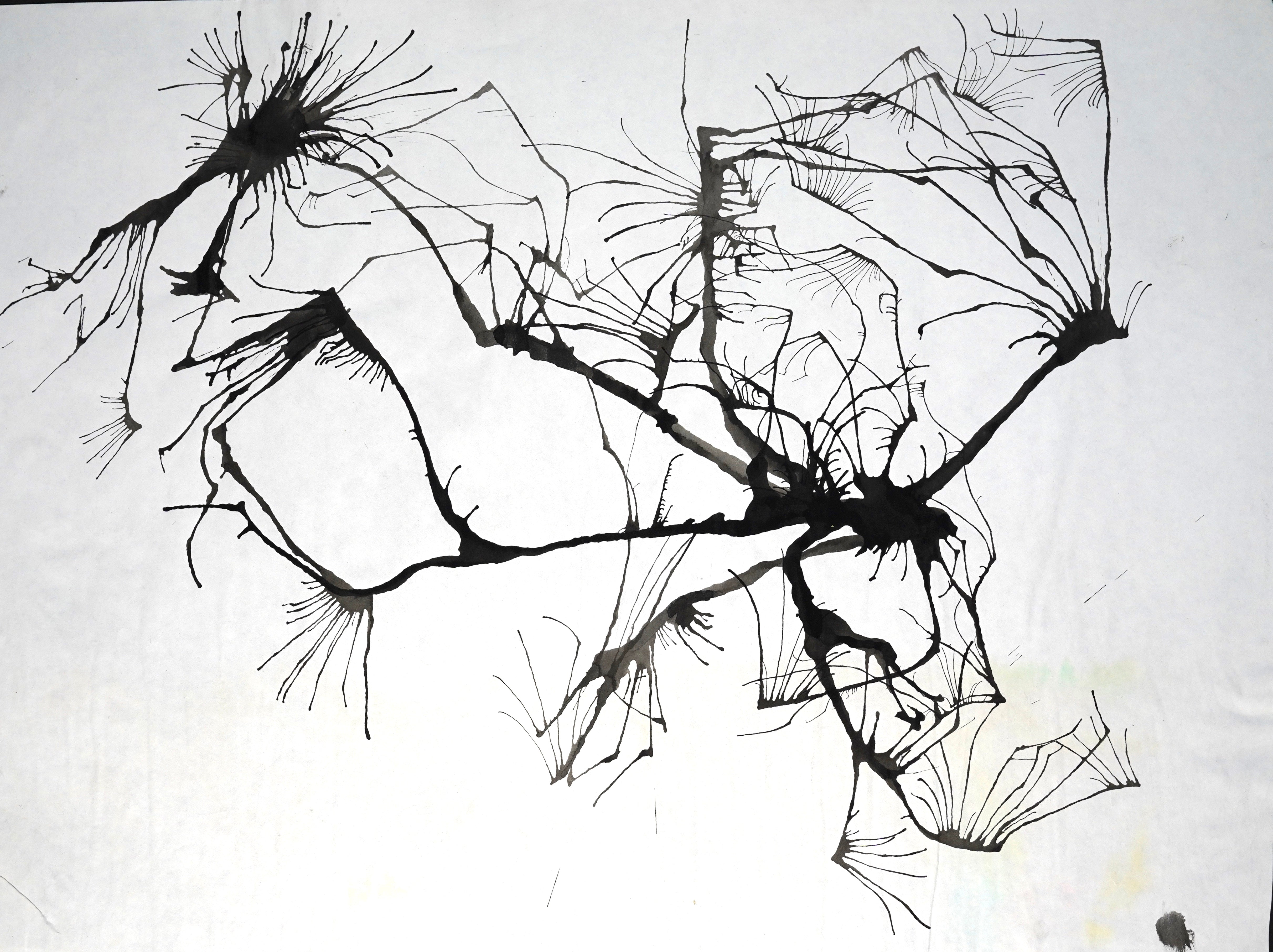 Creative Path (2000)