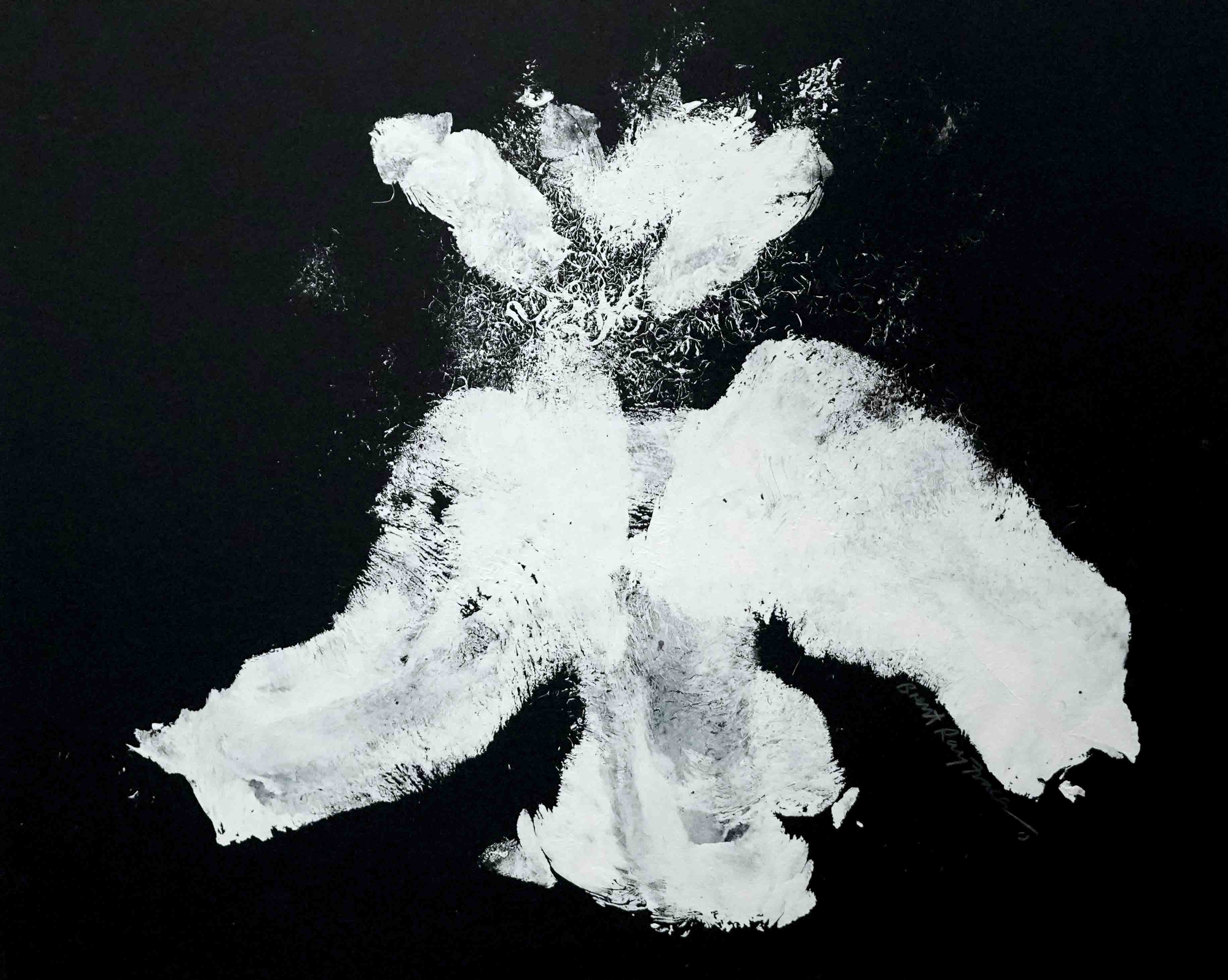 Inkblot Study lX (2018)