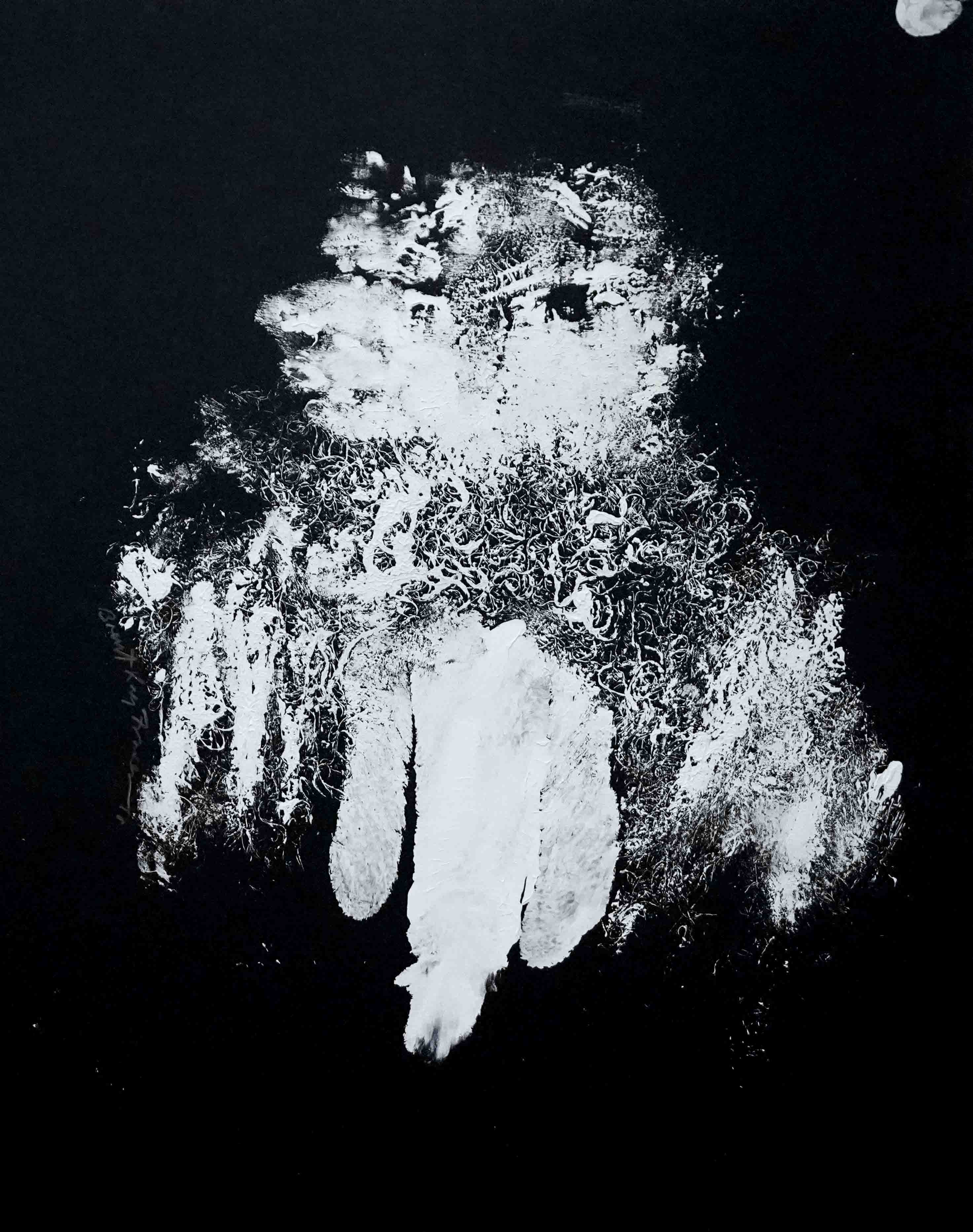 Inkblot Study Xll (2018)