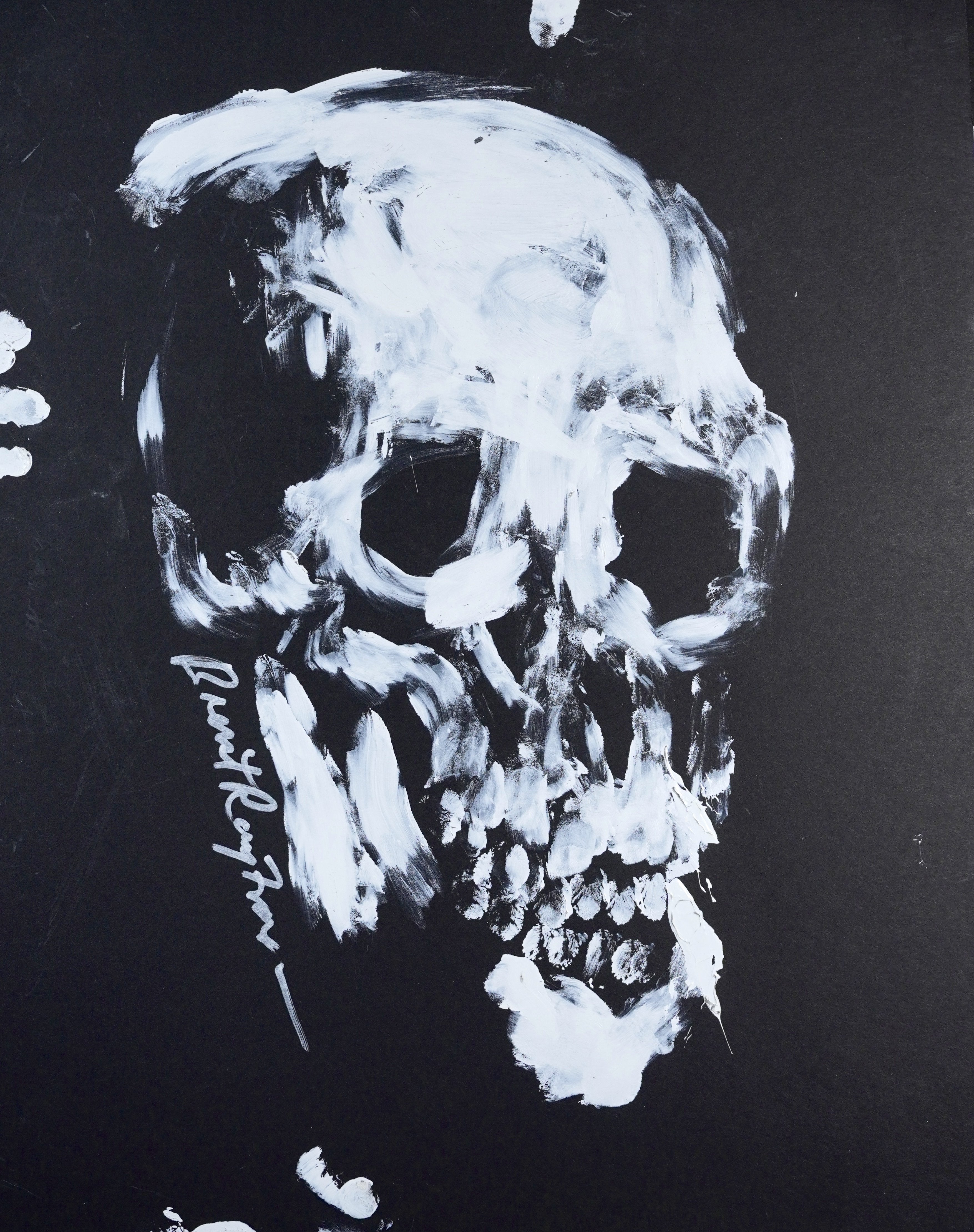 Skull Study V (2018)