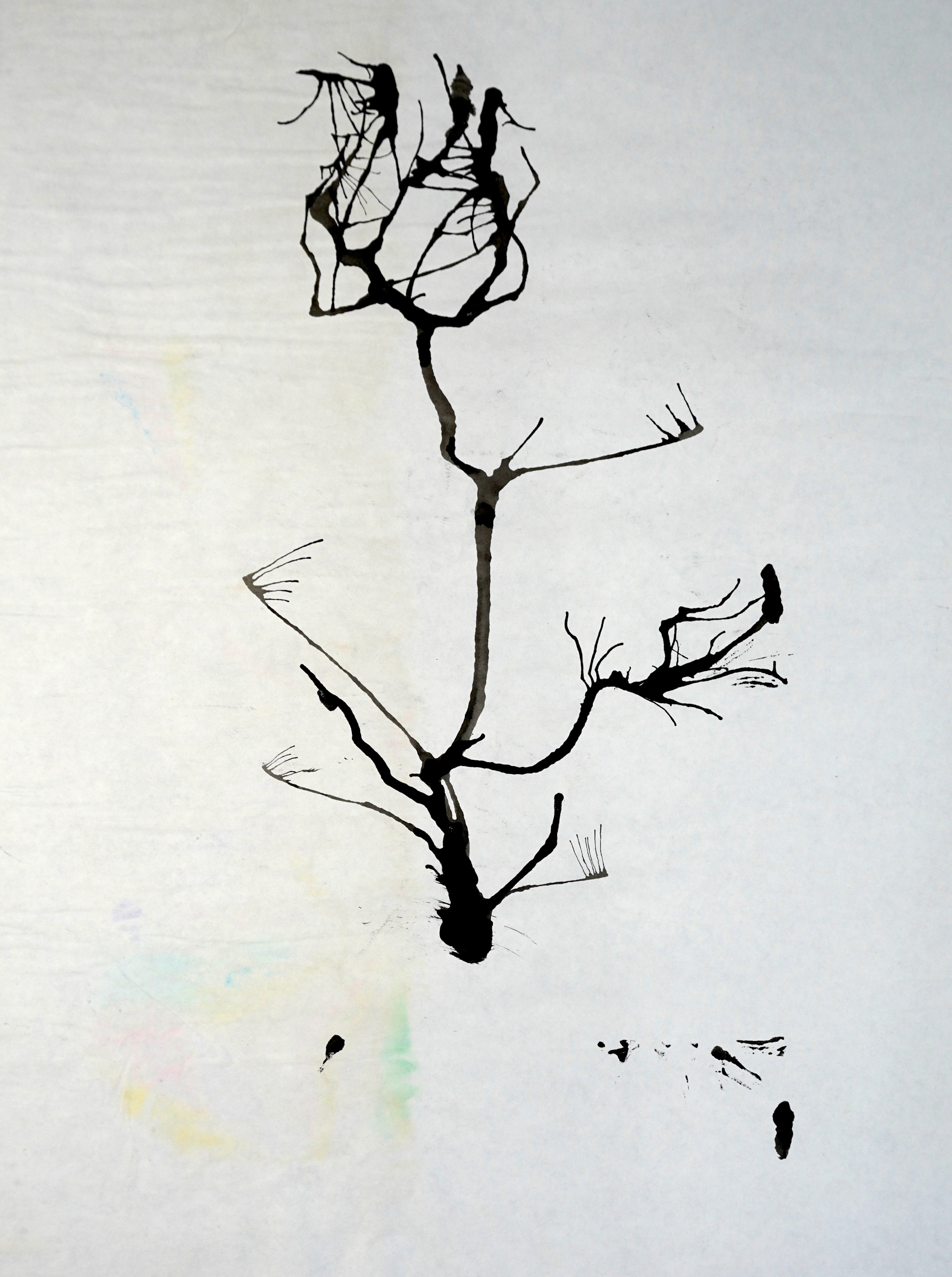 Organic Growth (2003)