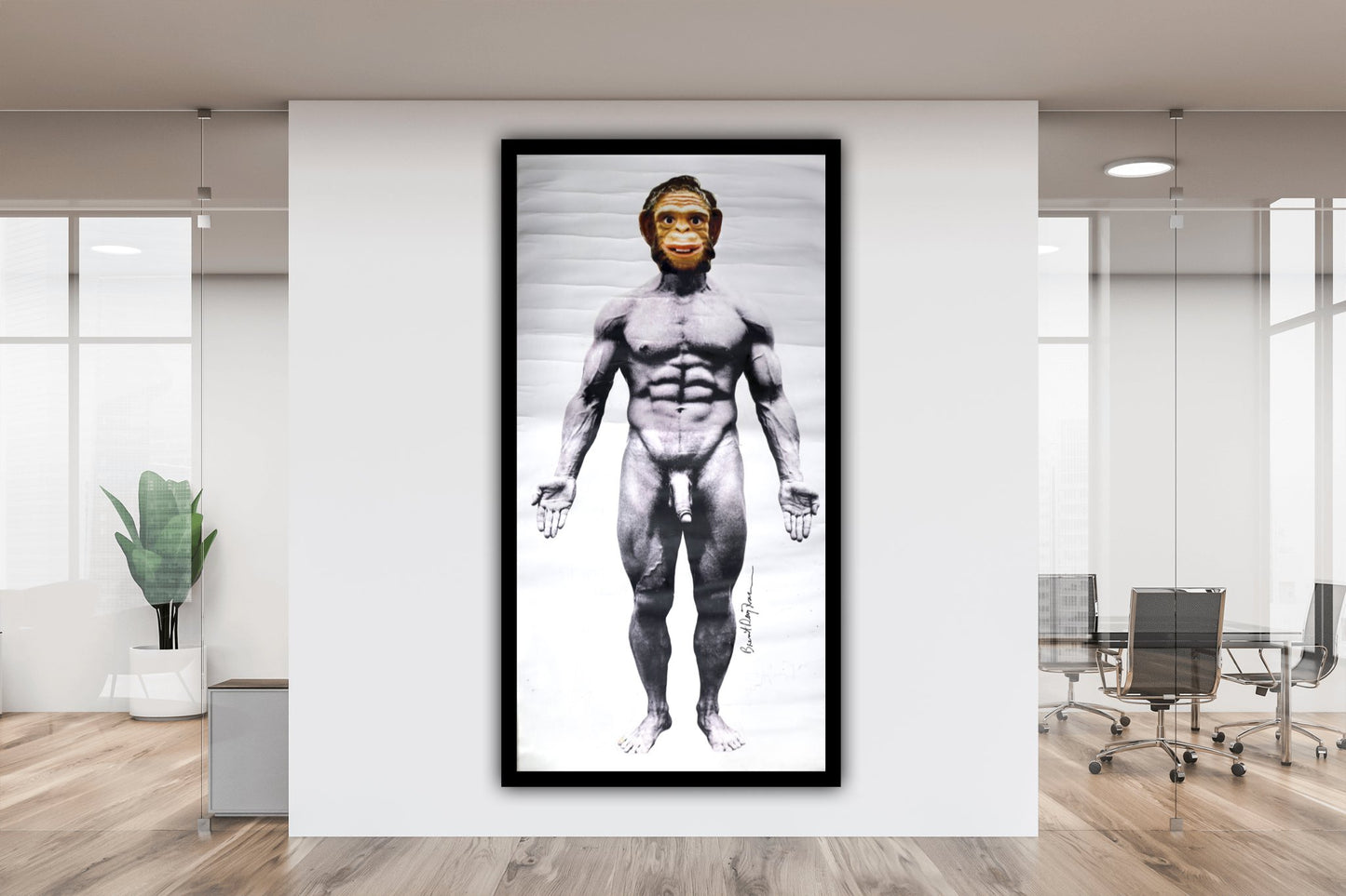 Monstera Adansonii, 2011 - By Brent Ray Fraser