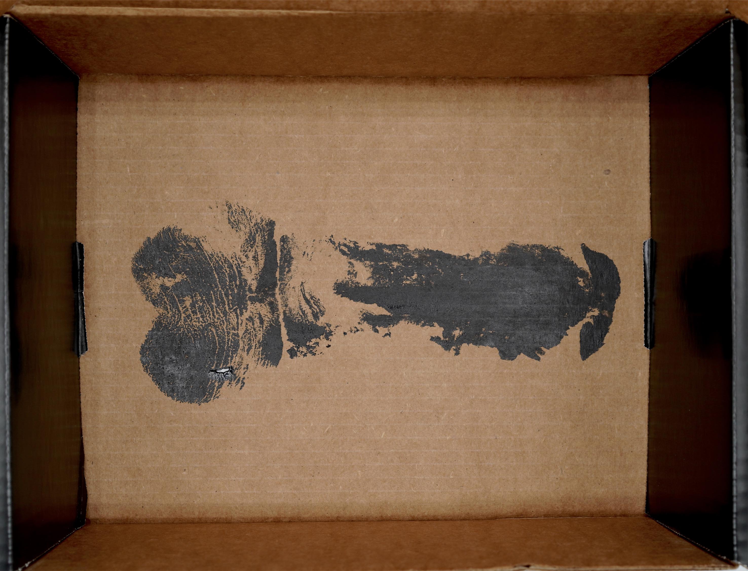 Shock & Awe Surprise Box: The Appreciator's Edition