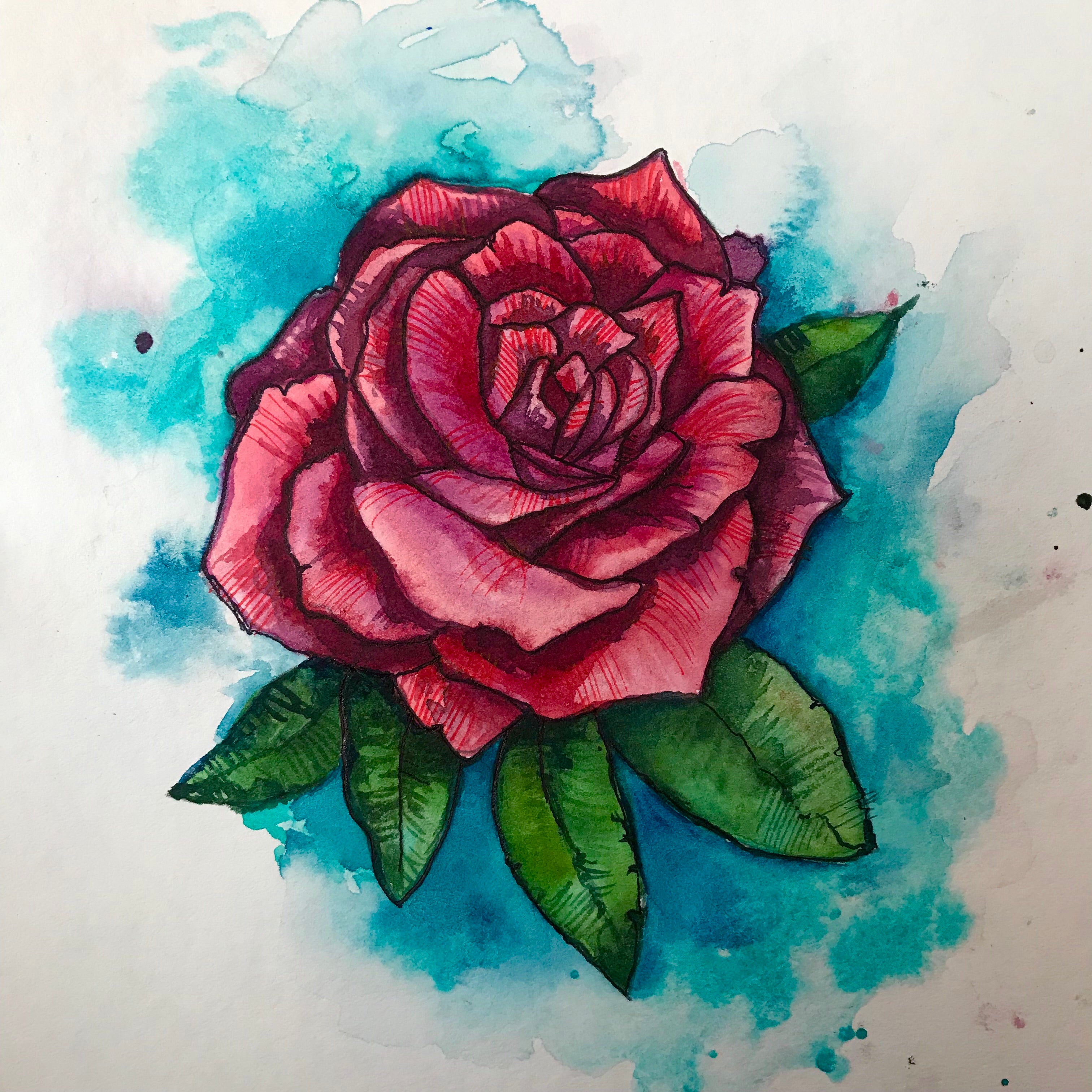 Rose 01, 2019