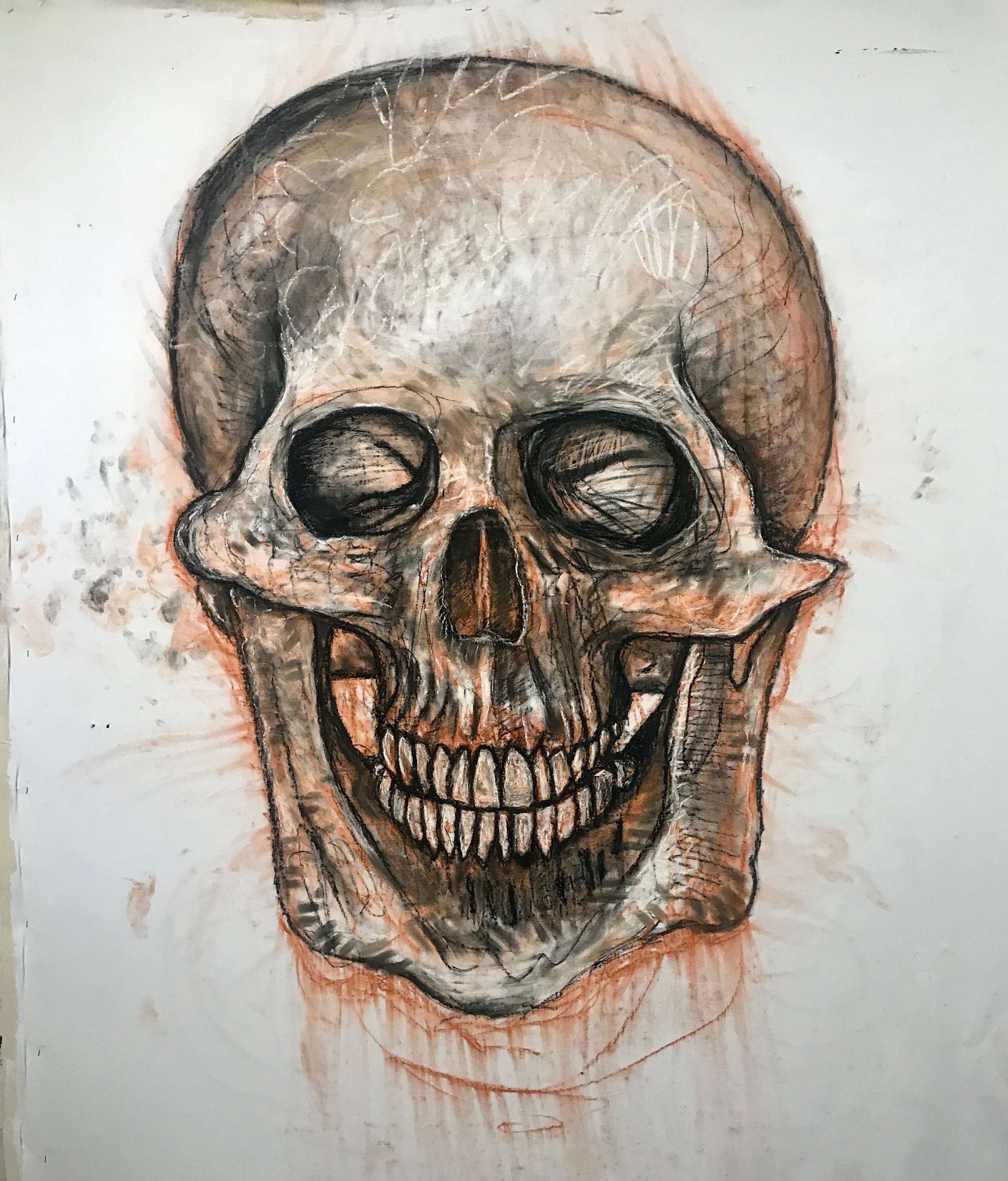 Skull Study l (2019) (Anatomical Drawing)