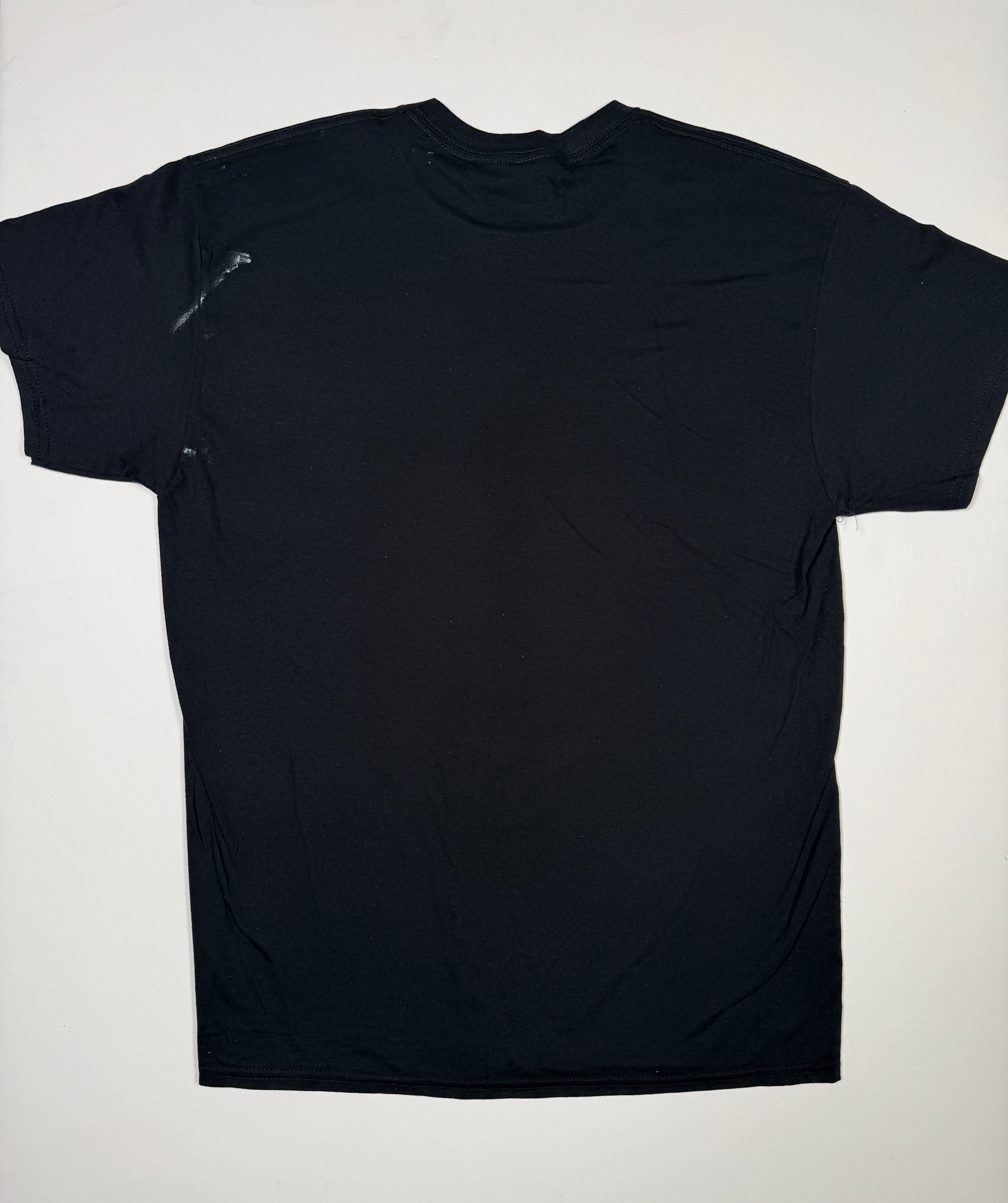 DShirt: Erectus Vlll