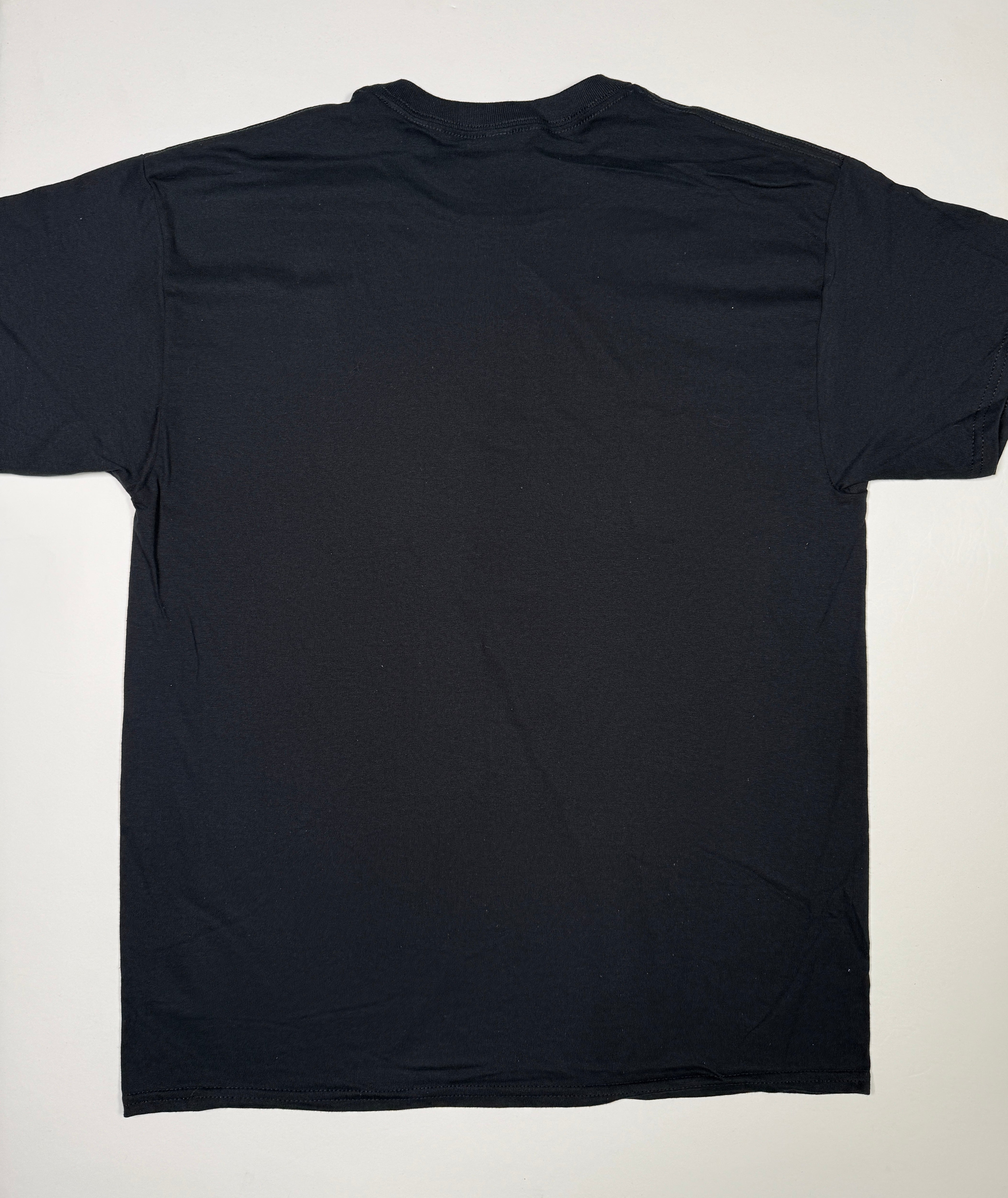 DShirt: Erectus XX