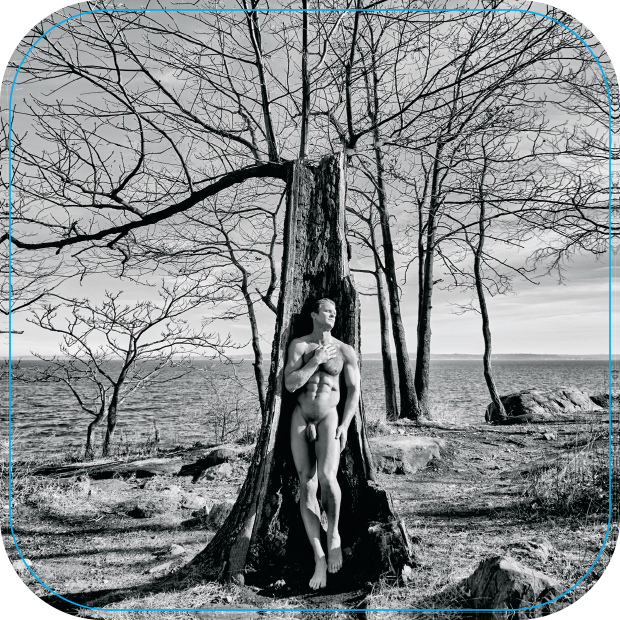 Brent In Nature by Steven Menendez