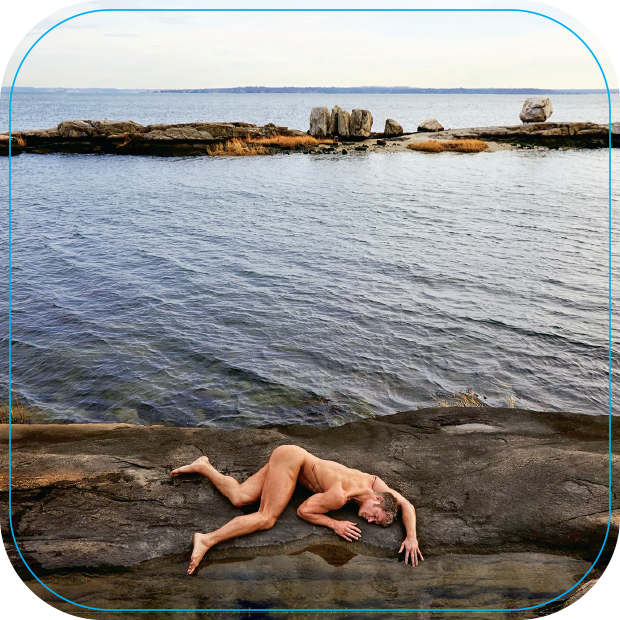 Two Tree Island Brent