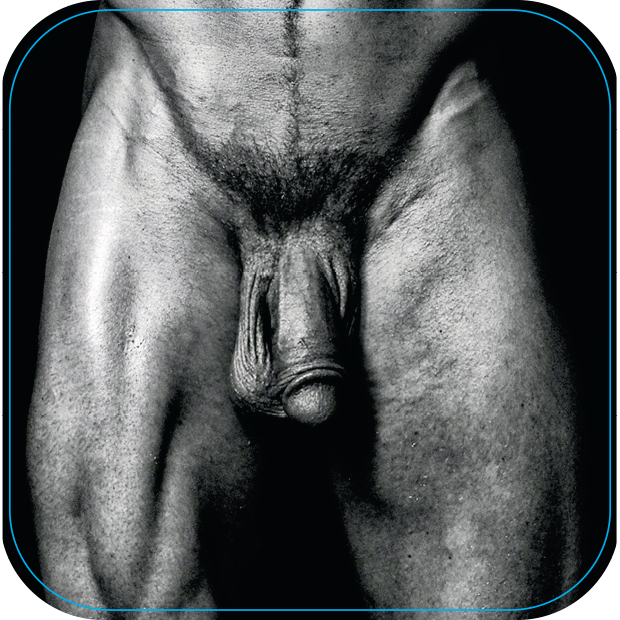 Pelvis Brent
