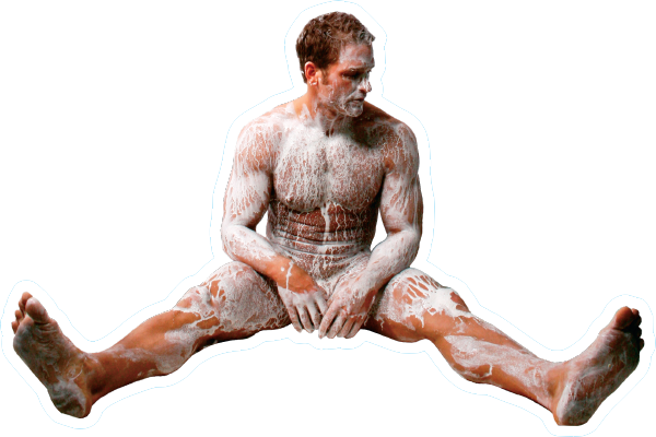 Painted Brent Seated