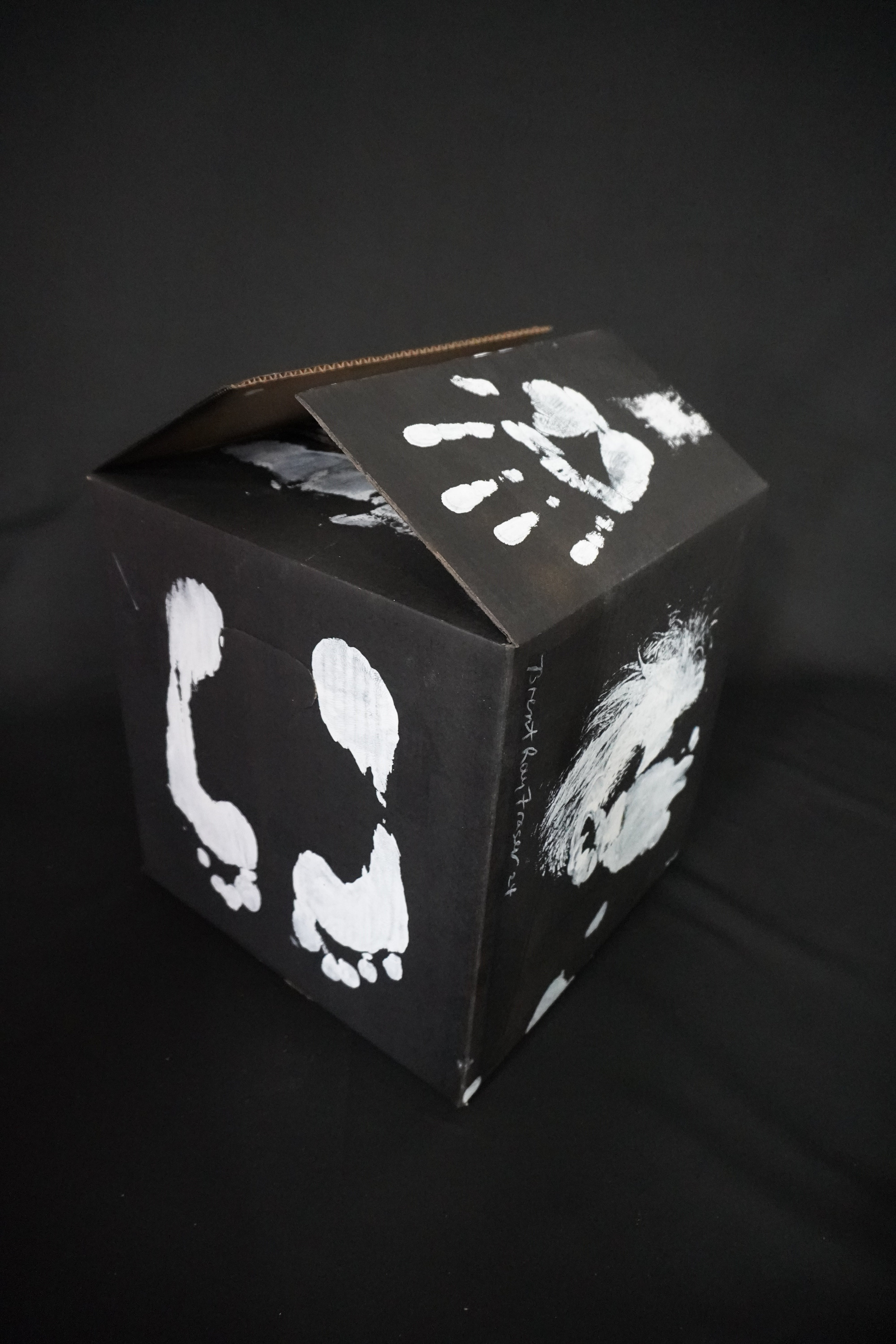 Box Imprint Artifact VlI (Object to Image Series) (2024)