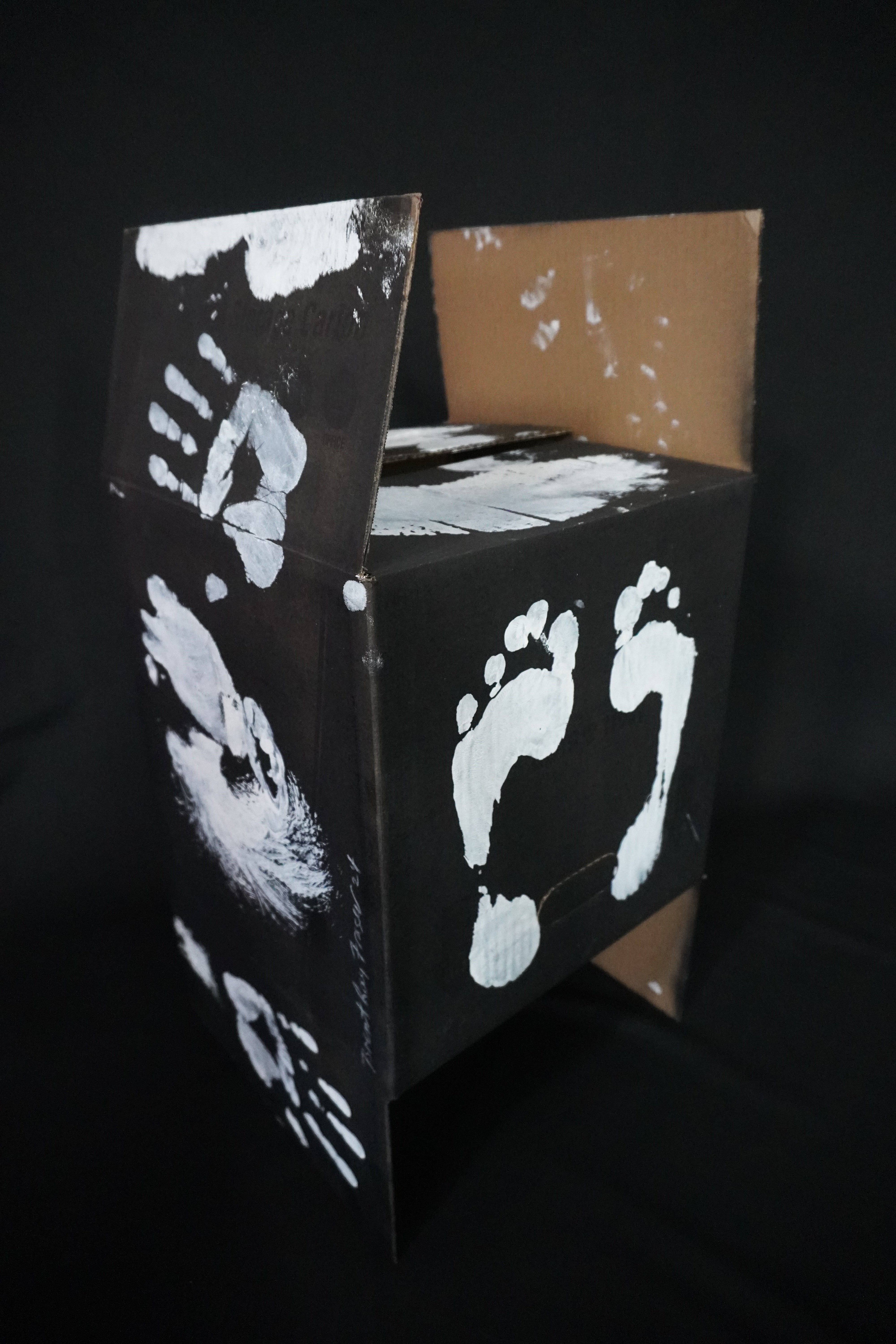 Box Imprint Artifact VlI (Object to Image Series) (2024)