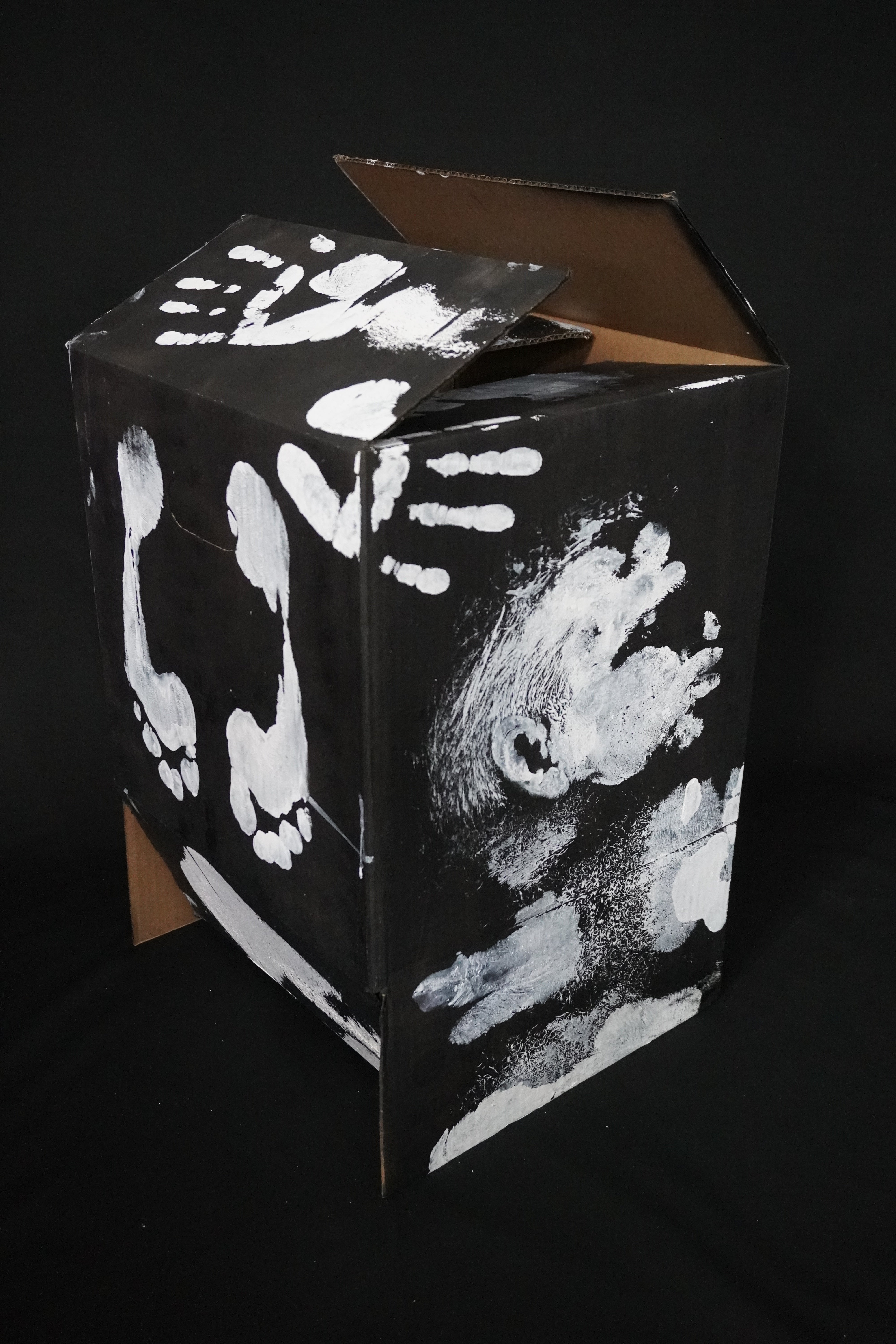 Box Imprint Artifact VI (Object to Image Series) (2024)
